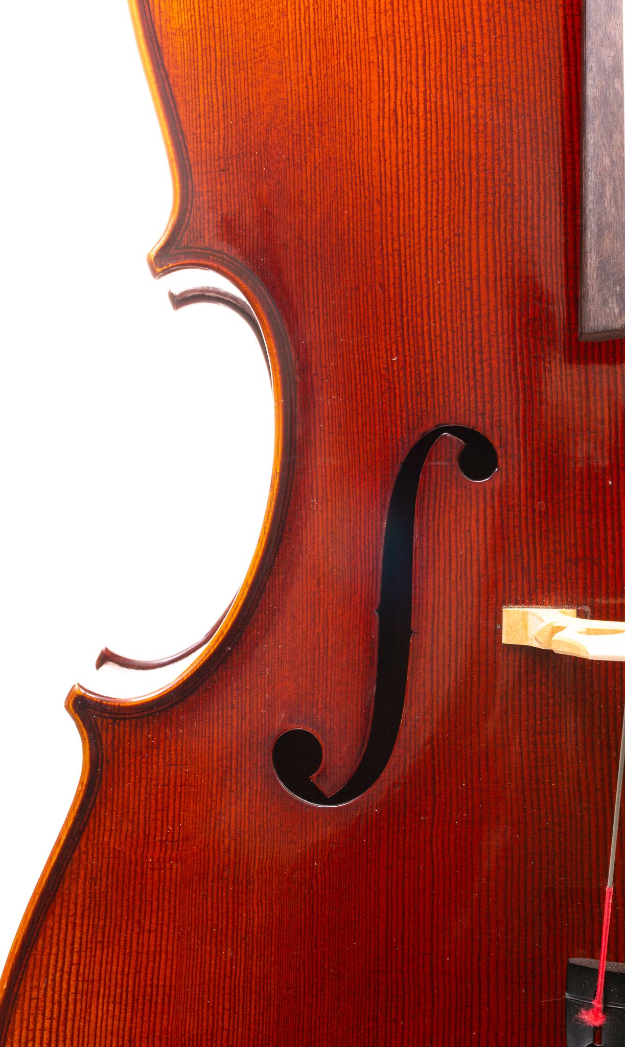 Heinrich Gill Cello 2009-12