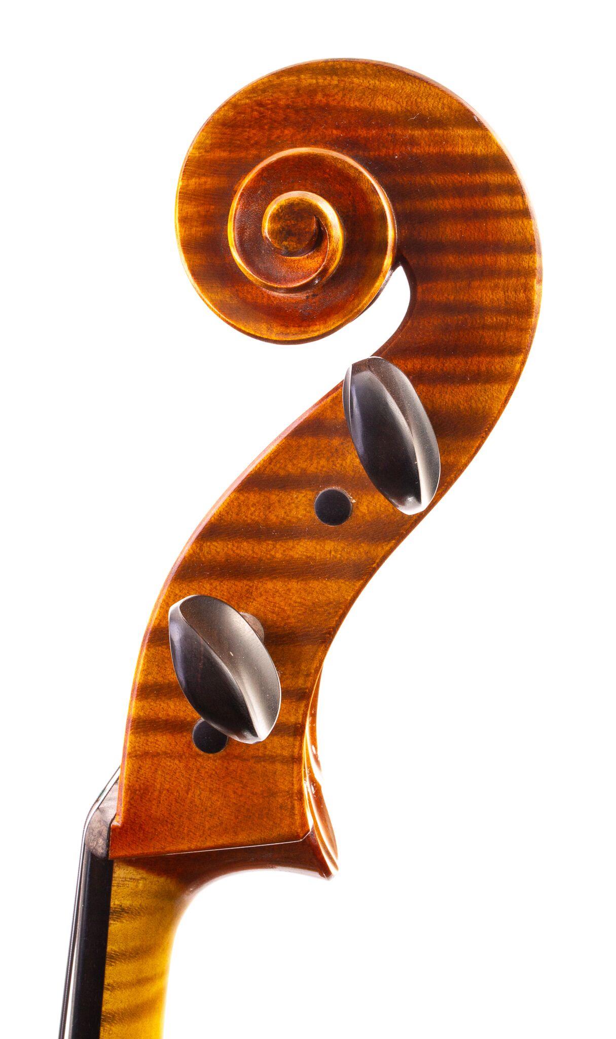 Klaus Heffler Cello Forchheim 2012-1