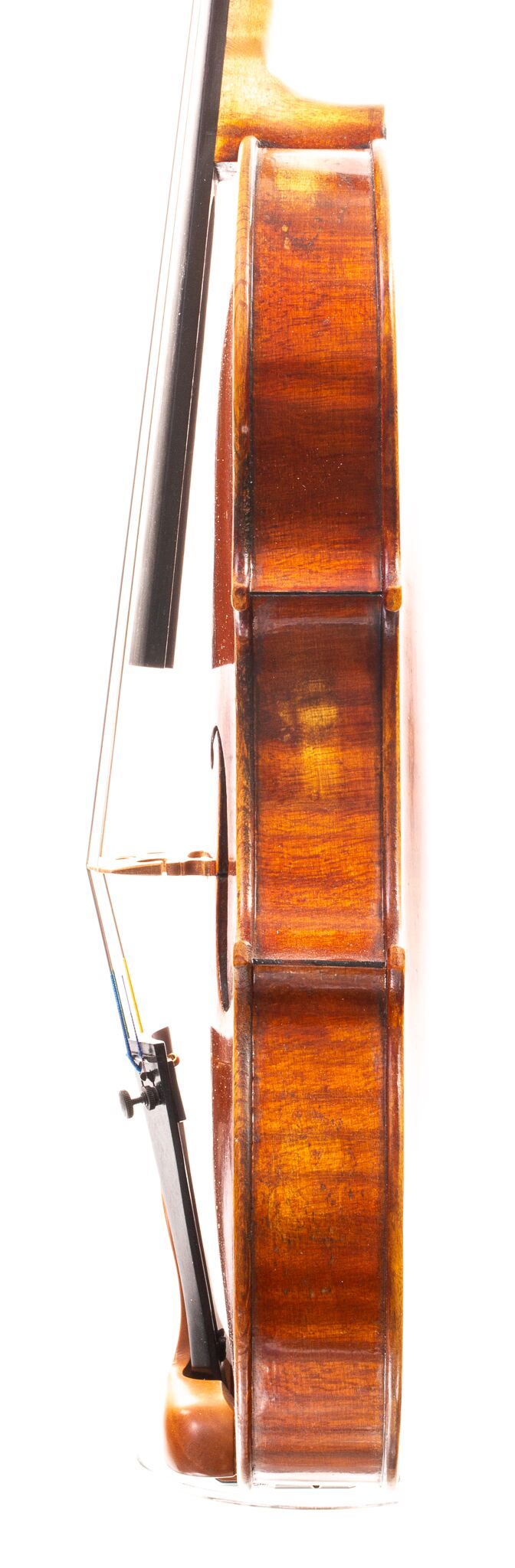 Grubaugh and Seifert Violin 2024-3-3