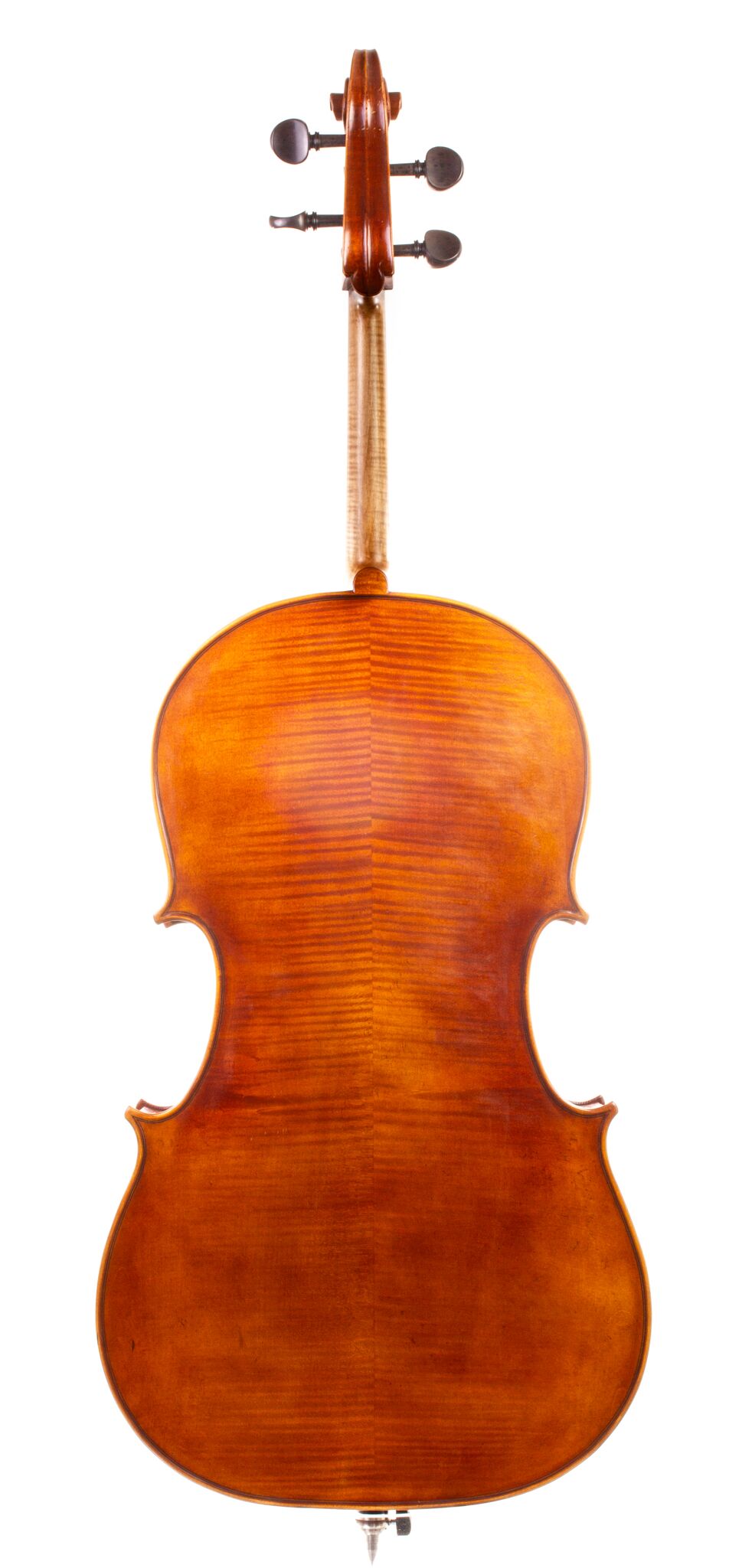 Andrzej Glodek Cello - Nowy Targ 2024-05