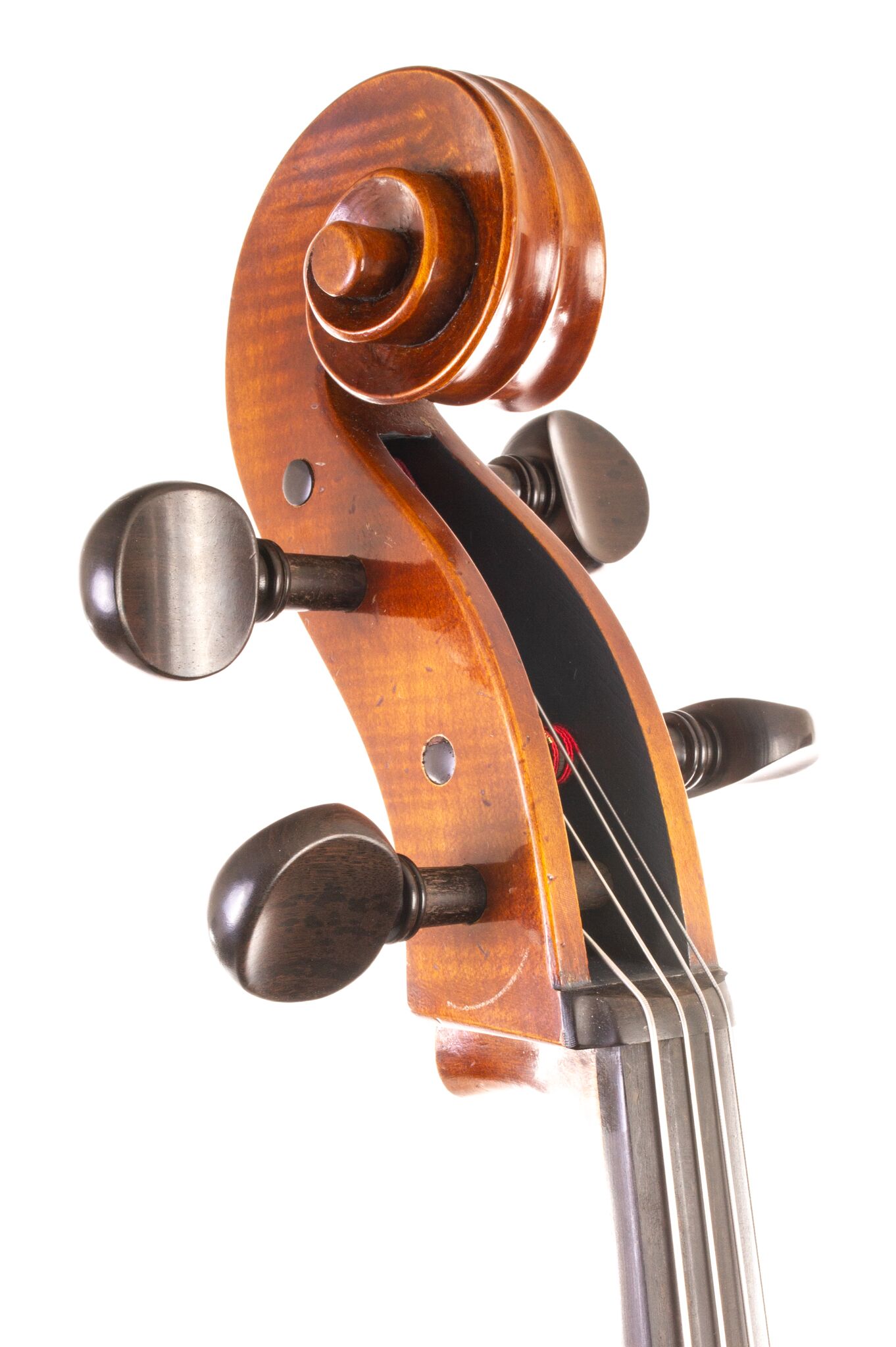 Andrzej Glodek Cello - Nowy Targ 2024-10