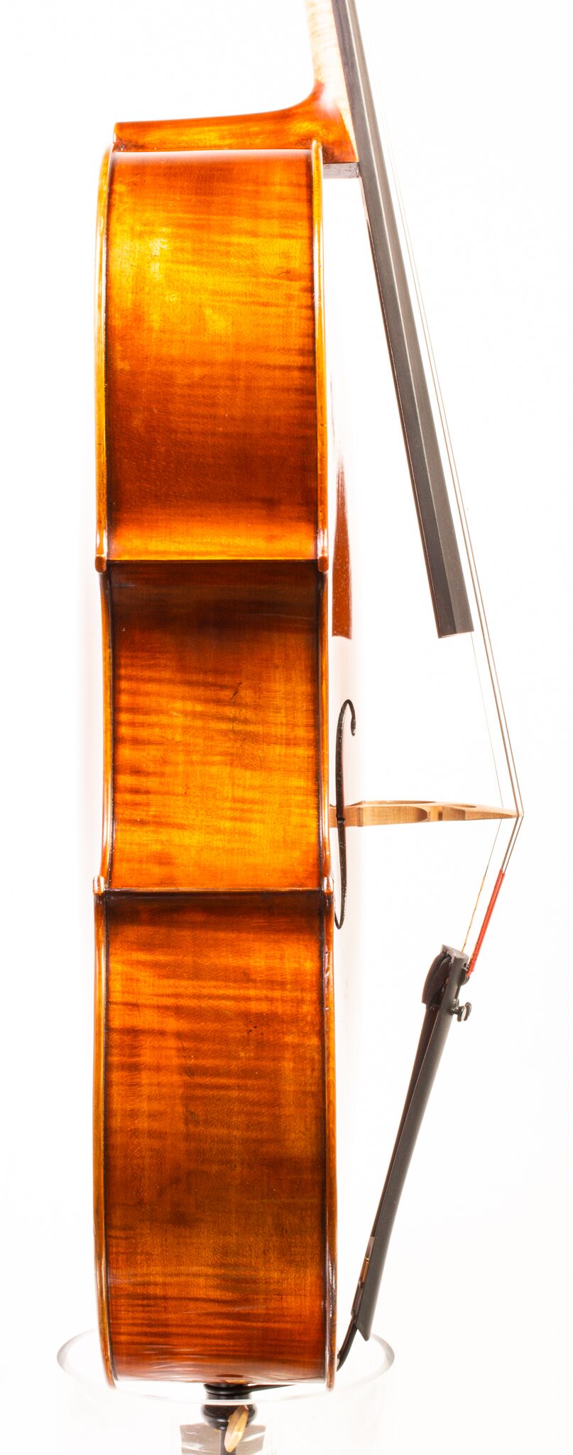 Eastman 405 7_8 Cello - Beijing -07