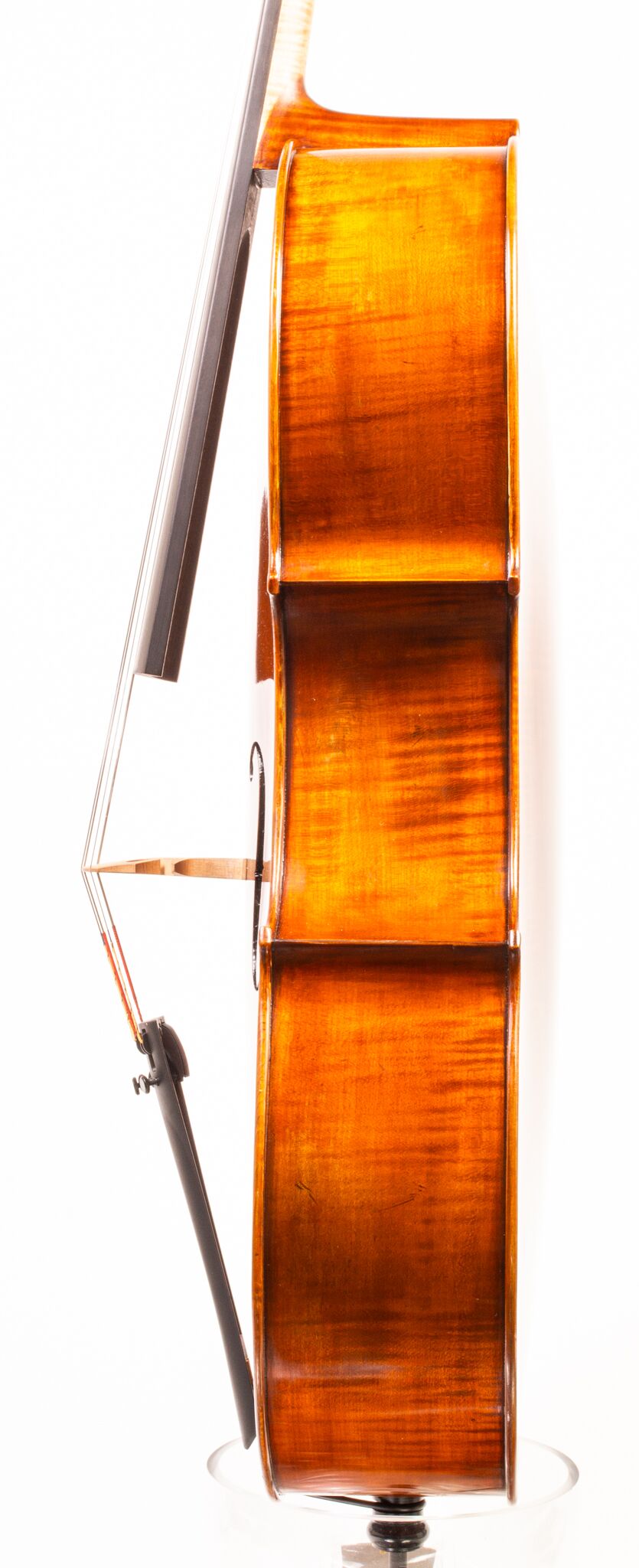 Eastman 405 7_8 Cello - Beijing -08