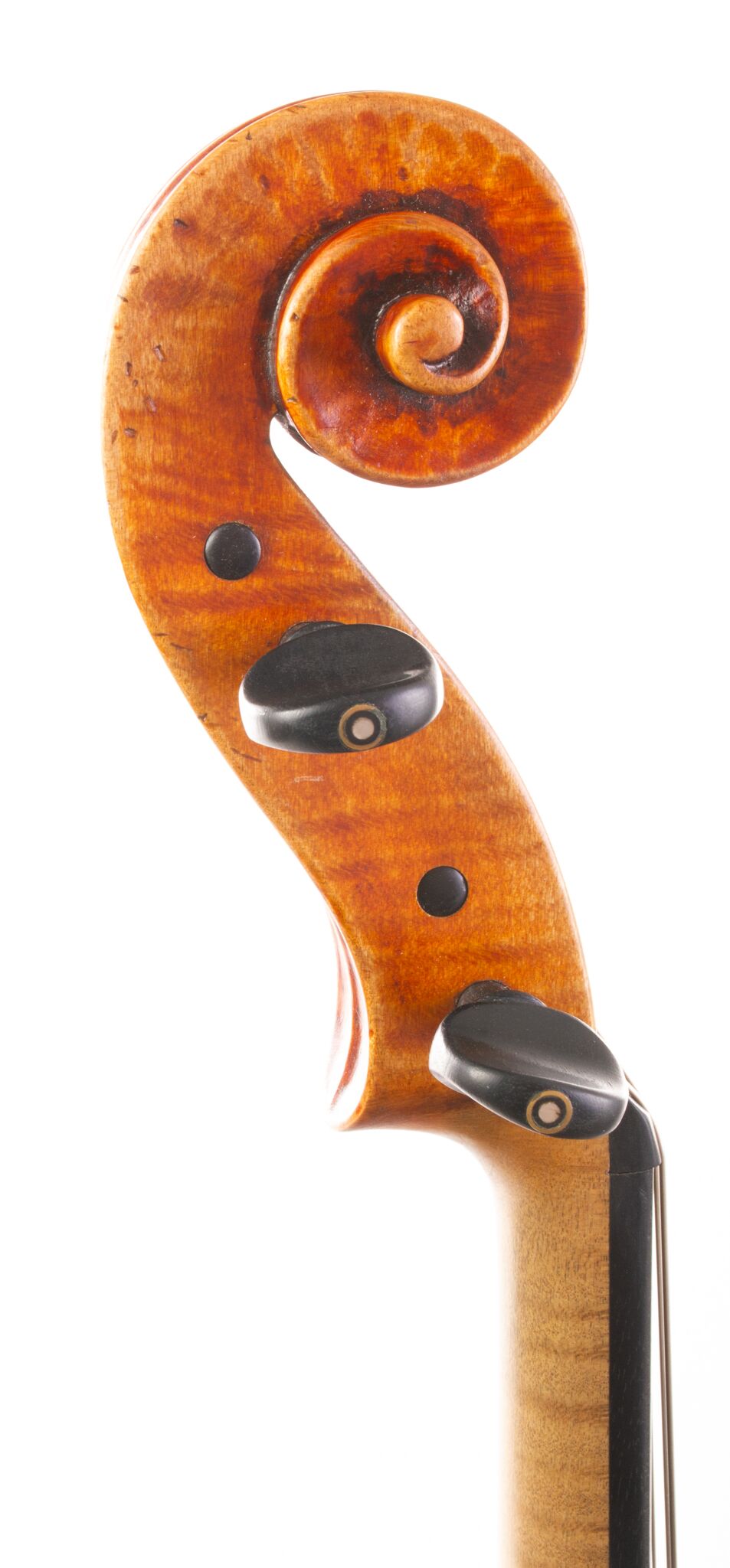 B. Skarstad Viola - Pleasantville 1979-08