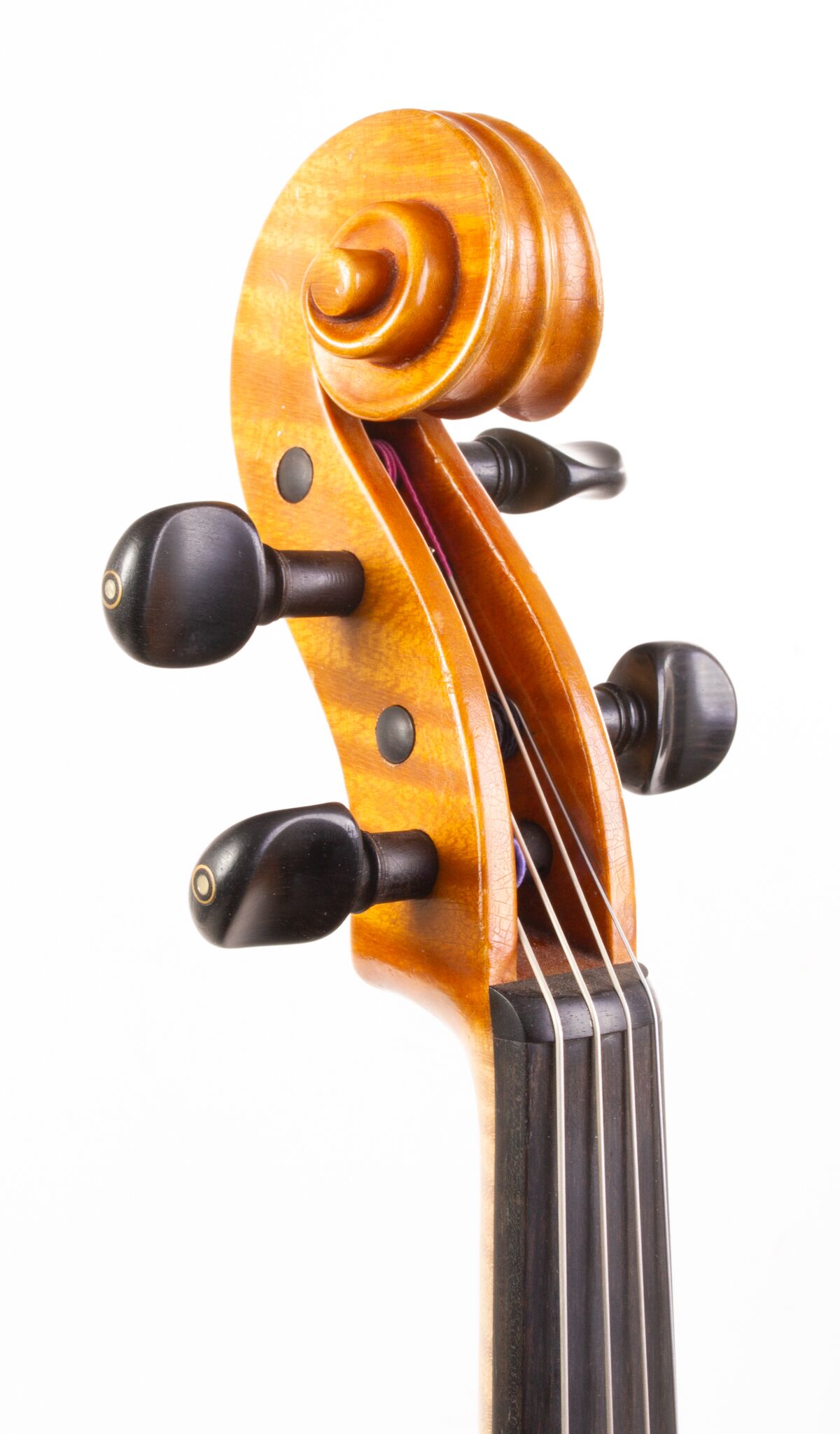 P. Sáránszky Viola - Budapestini 1980-04