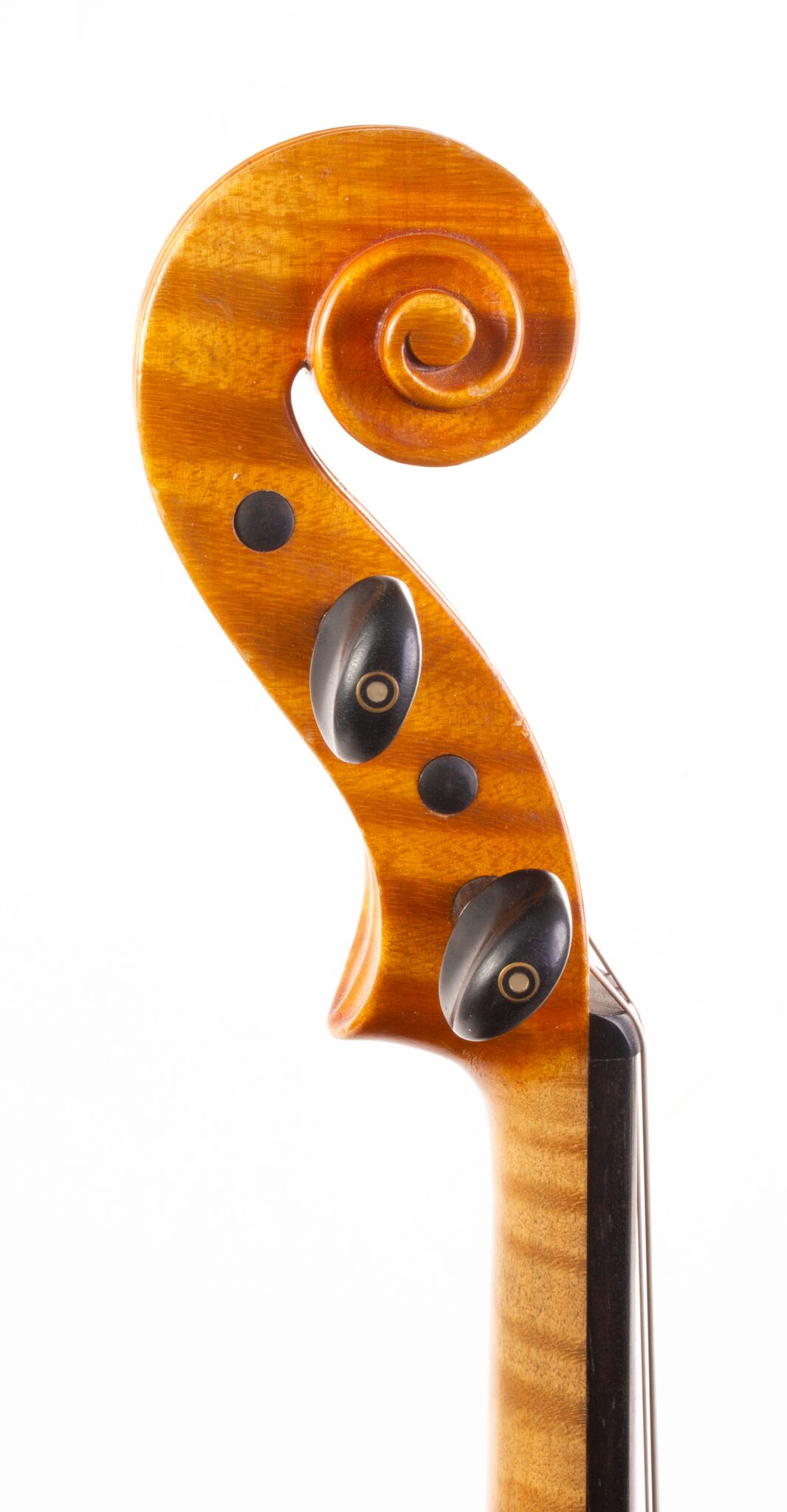 P. Sáránszky Viola - Budapestini 1980-06