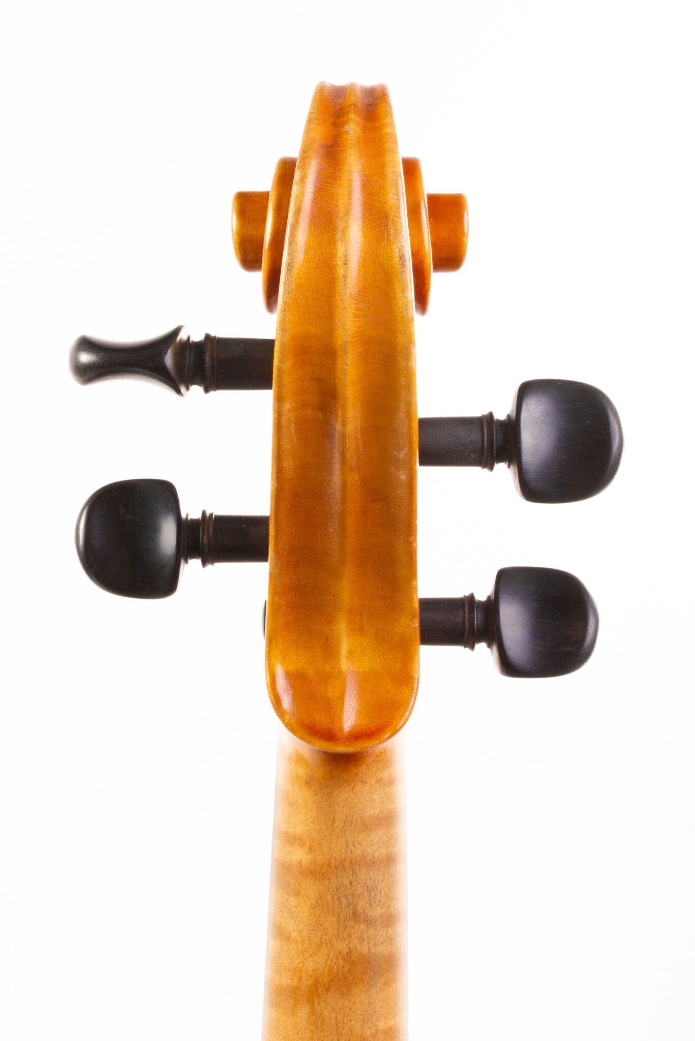 P. Sáránszky Viola - Budapestini 1980-07