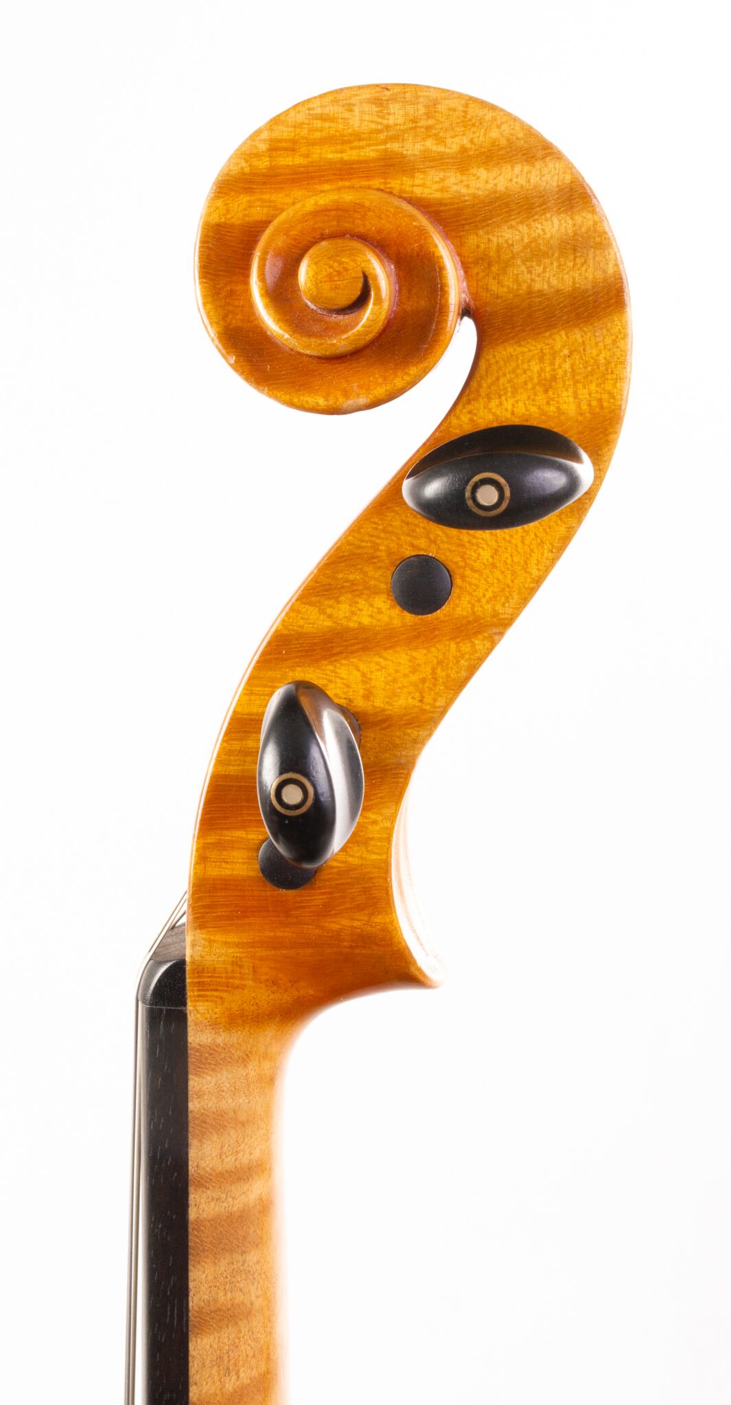 P. Sáránszky Viola - Budapestini 1980-08