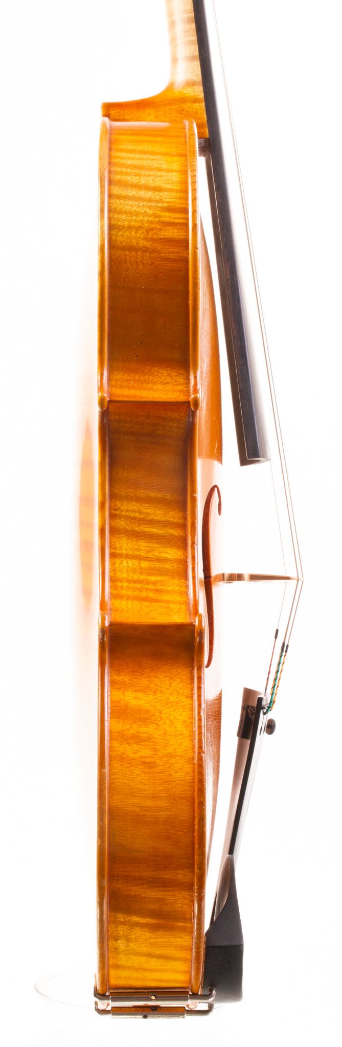 P. Sáránszky Viola - Budapestini 1980-10