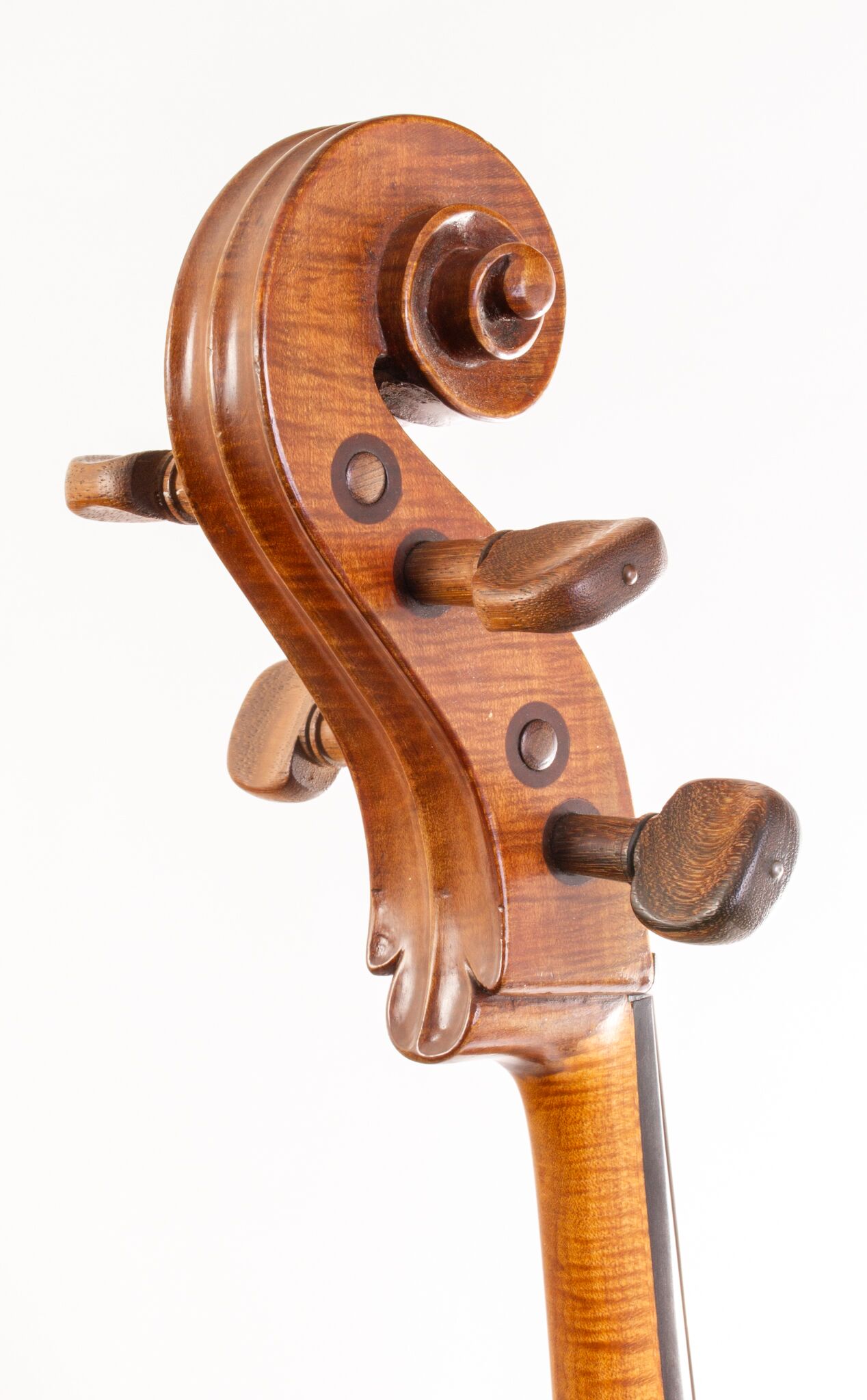 Tomassucci Cigno Cello - Arrone 1951-01