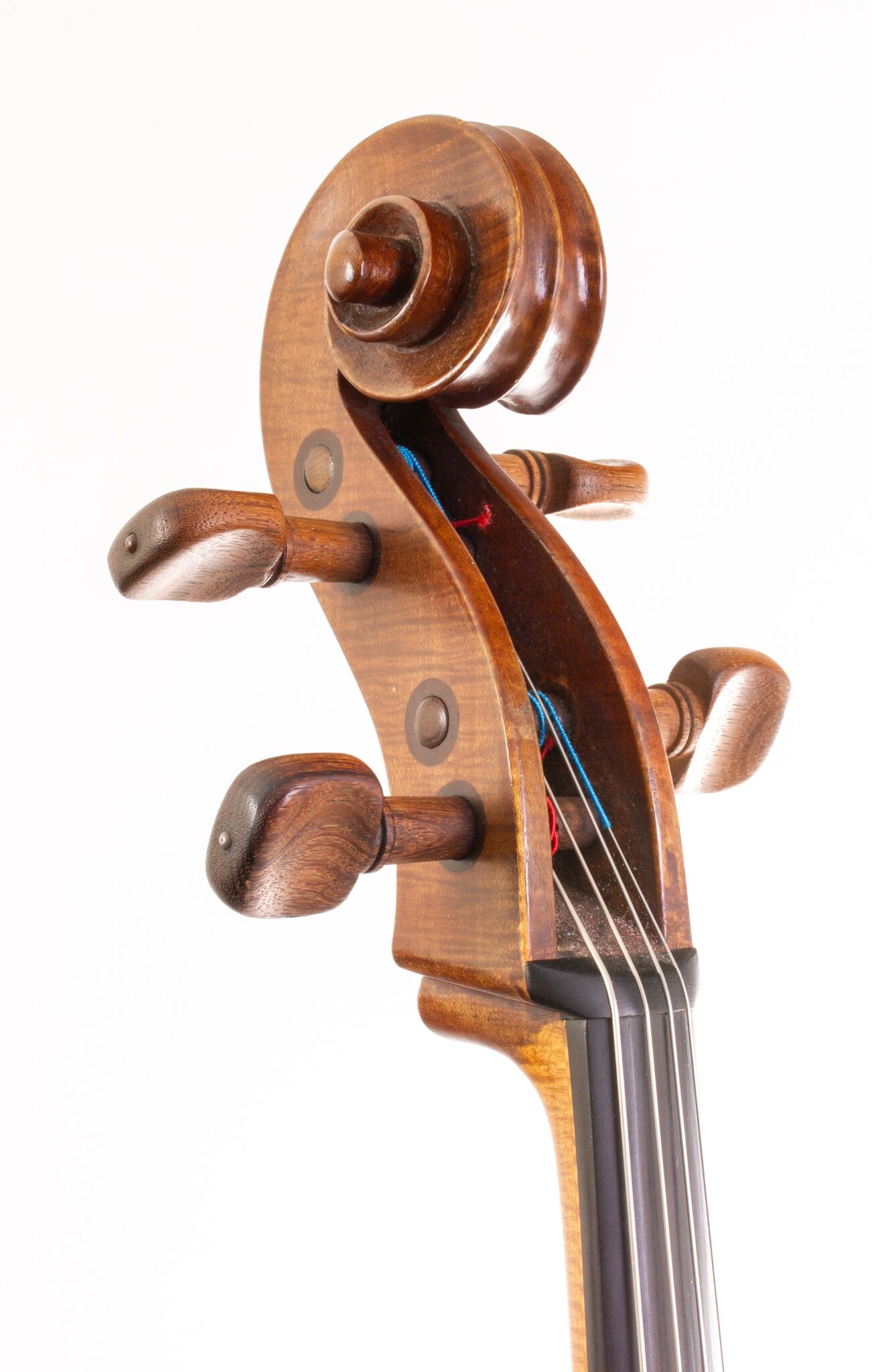 Tomassucci Cigno Cello - Arrone 1951-02