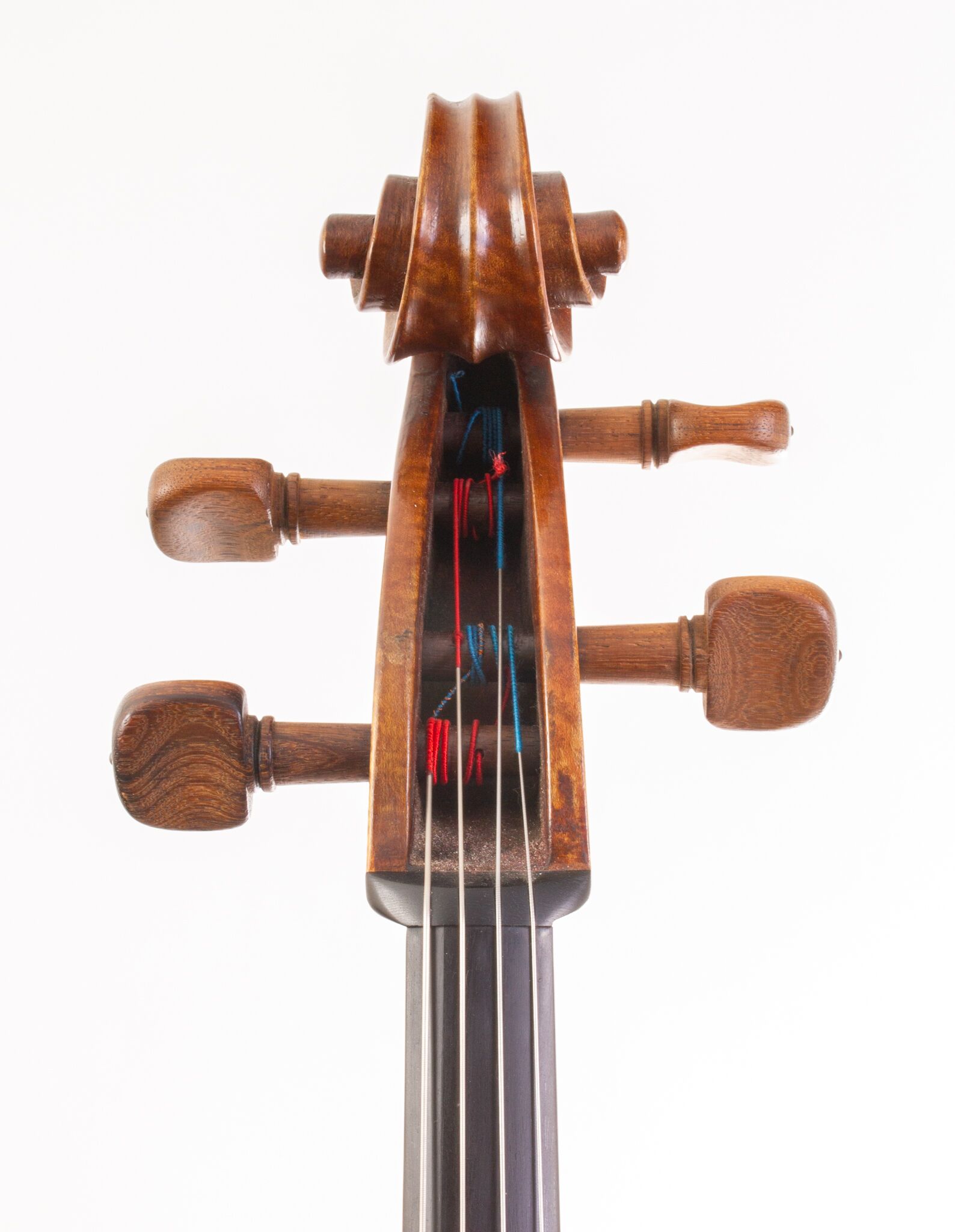 Tomassucci Cigno Cello - Arrone 1951-03