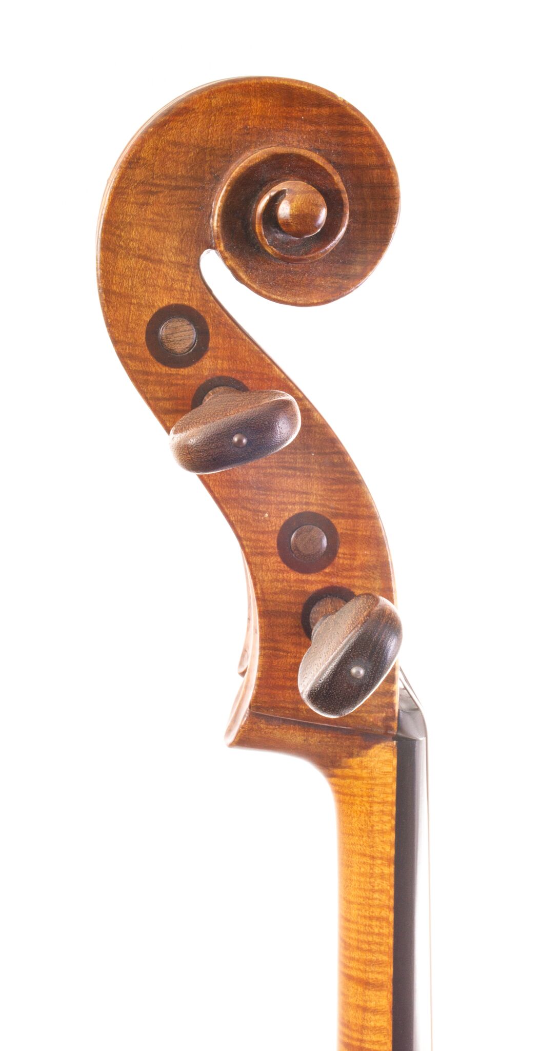 Tomassucci Cigno Cello - Arrone 1951-04