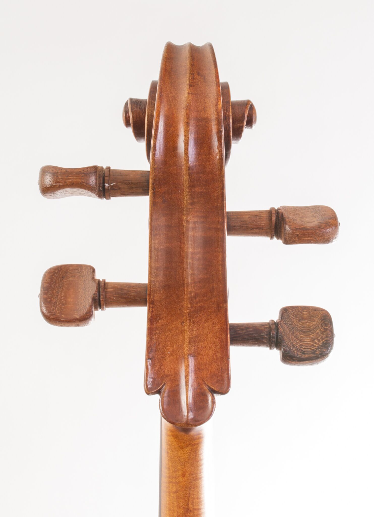 Tomassucci Cigno Cello - Arrone 1951-05