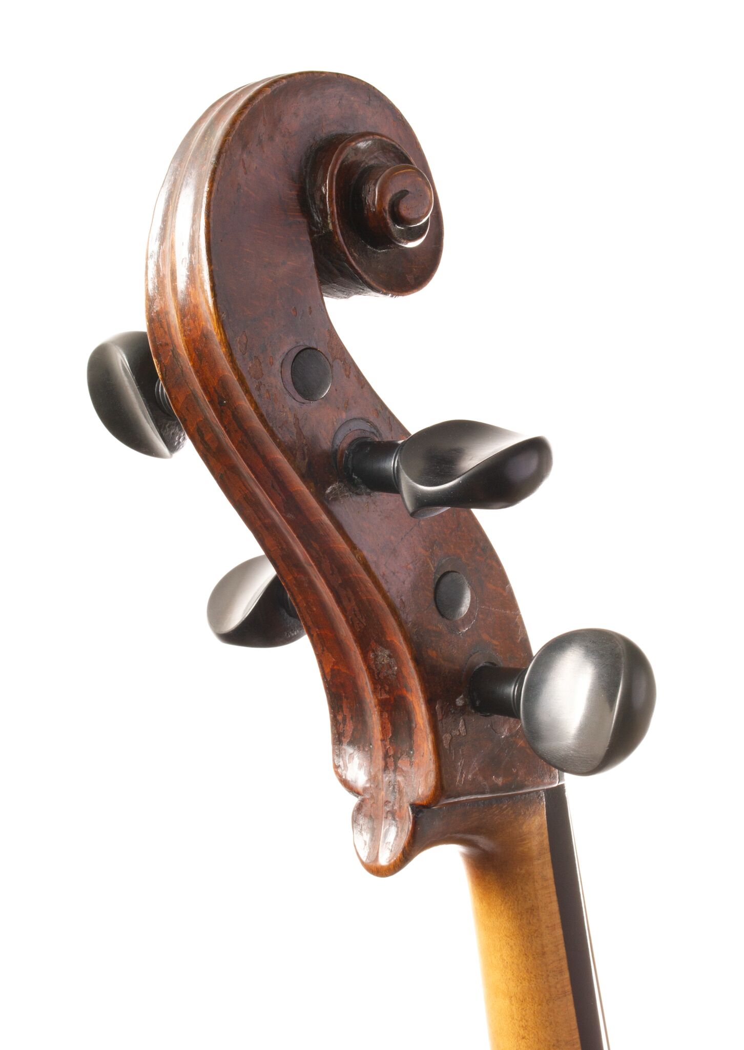 Vienesse Cello - Circa -01