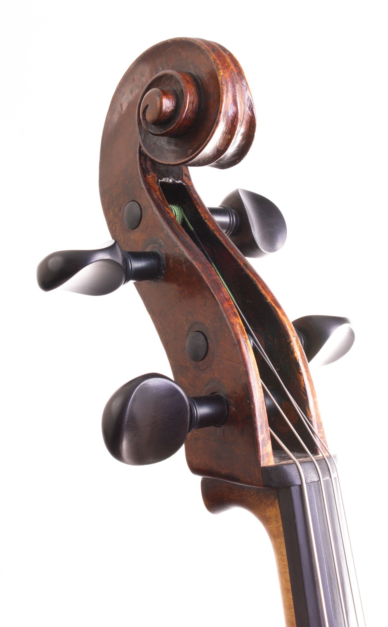 Vienesse Cello - Circa -02