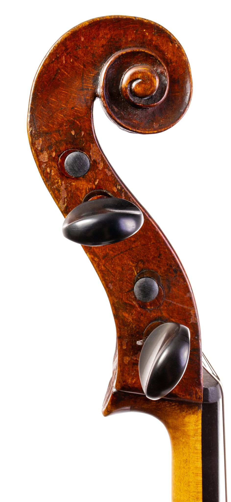 Vienesse Cello - Circa -04