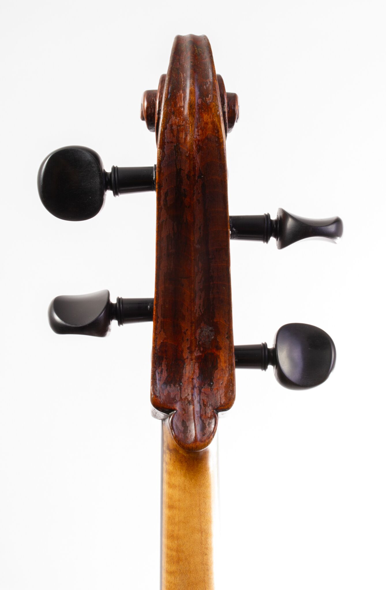 Vienesse Cello - Circa -05