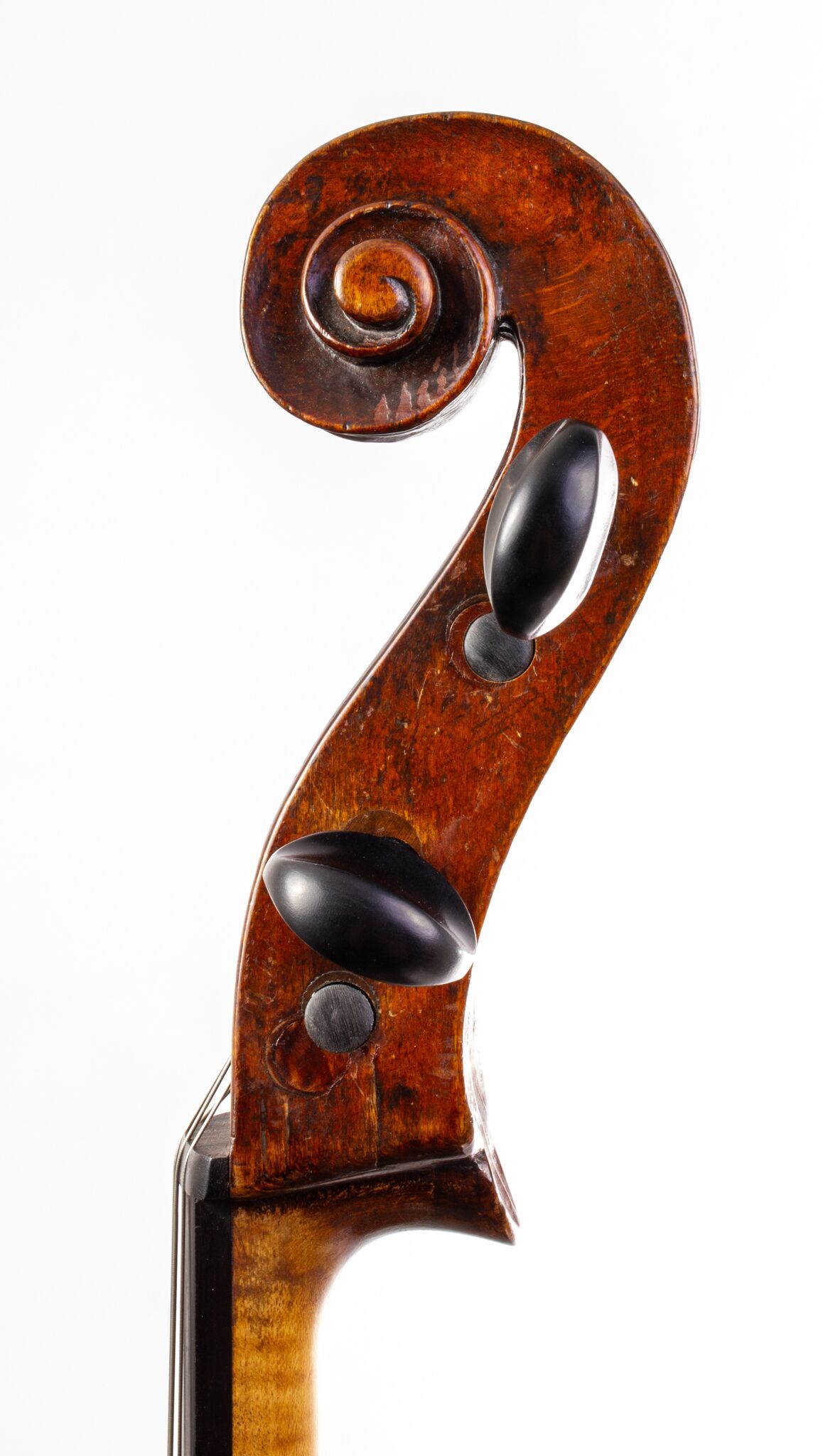 Vienesse Cello - Circa -06