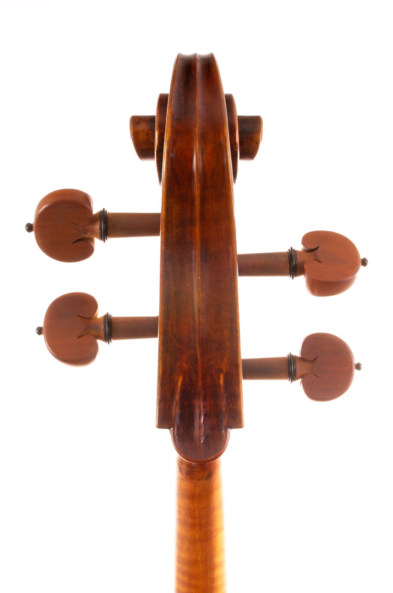 Eastman 502 Montagnana Cello - Beijing 2024-09