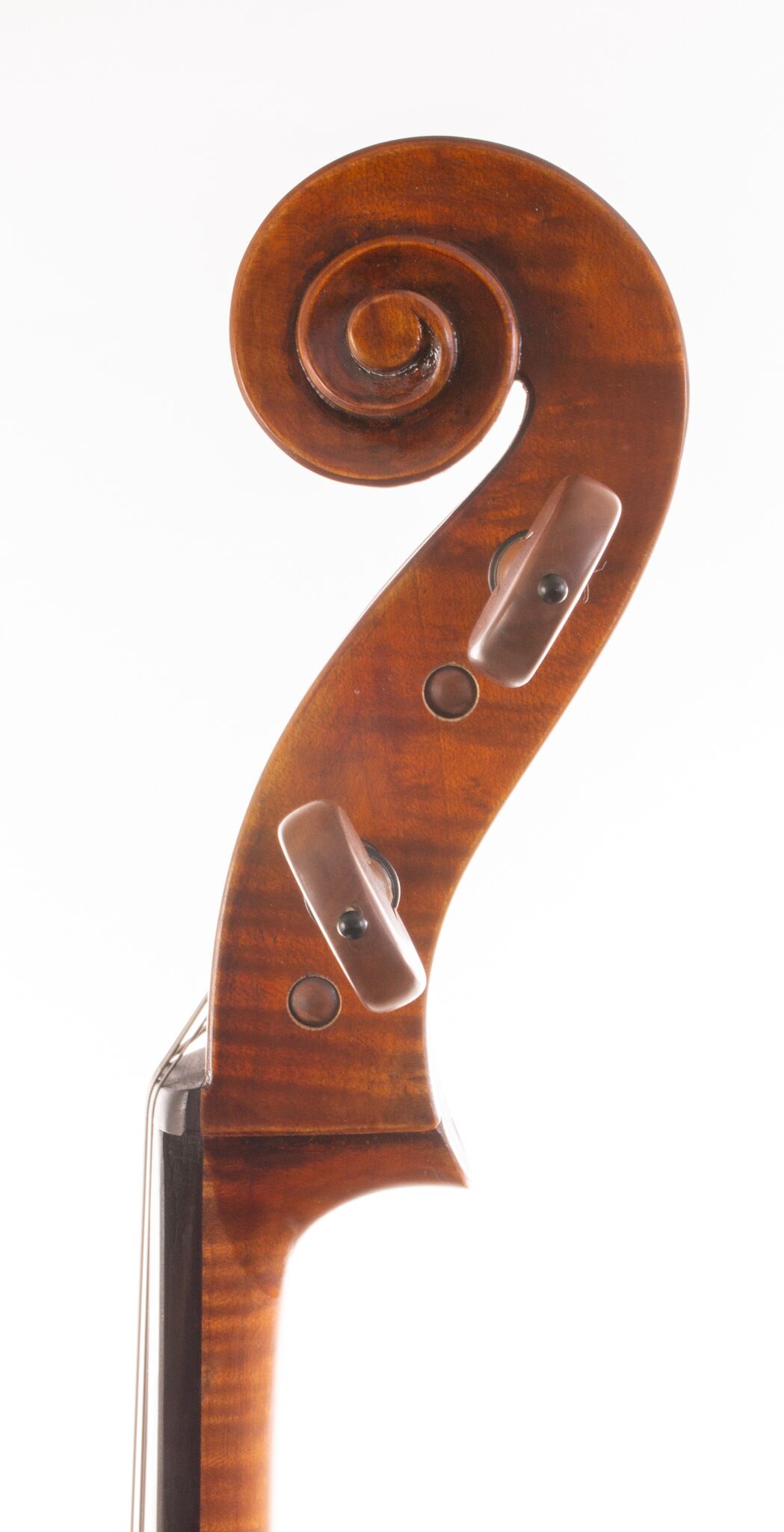 Eastman 502 Montagnana Cello - Beijing 2024-10