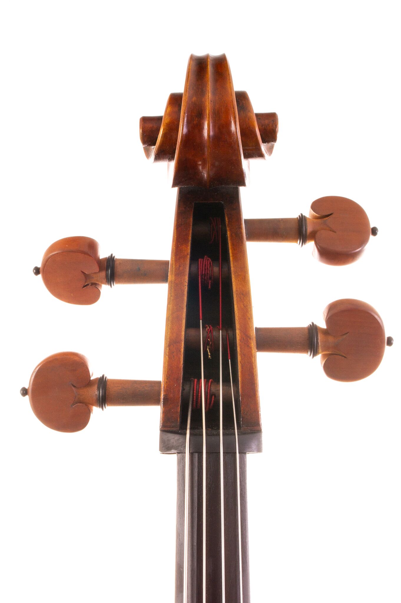Eastman 502 Montagnana Cello - Beijing 2024-11