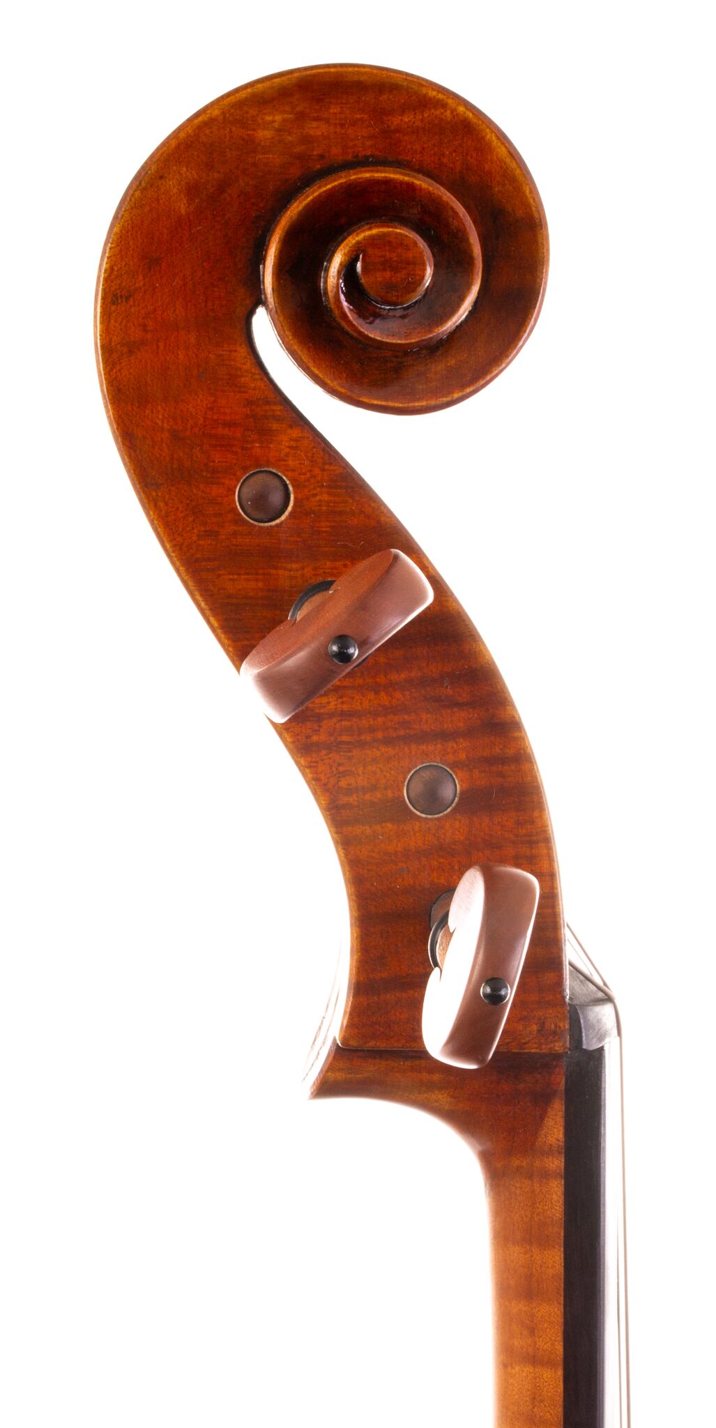 Eastman 502 Montagnana Cello - Beijing 2024-12