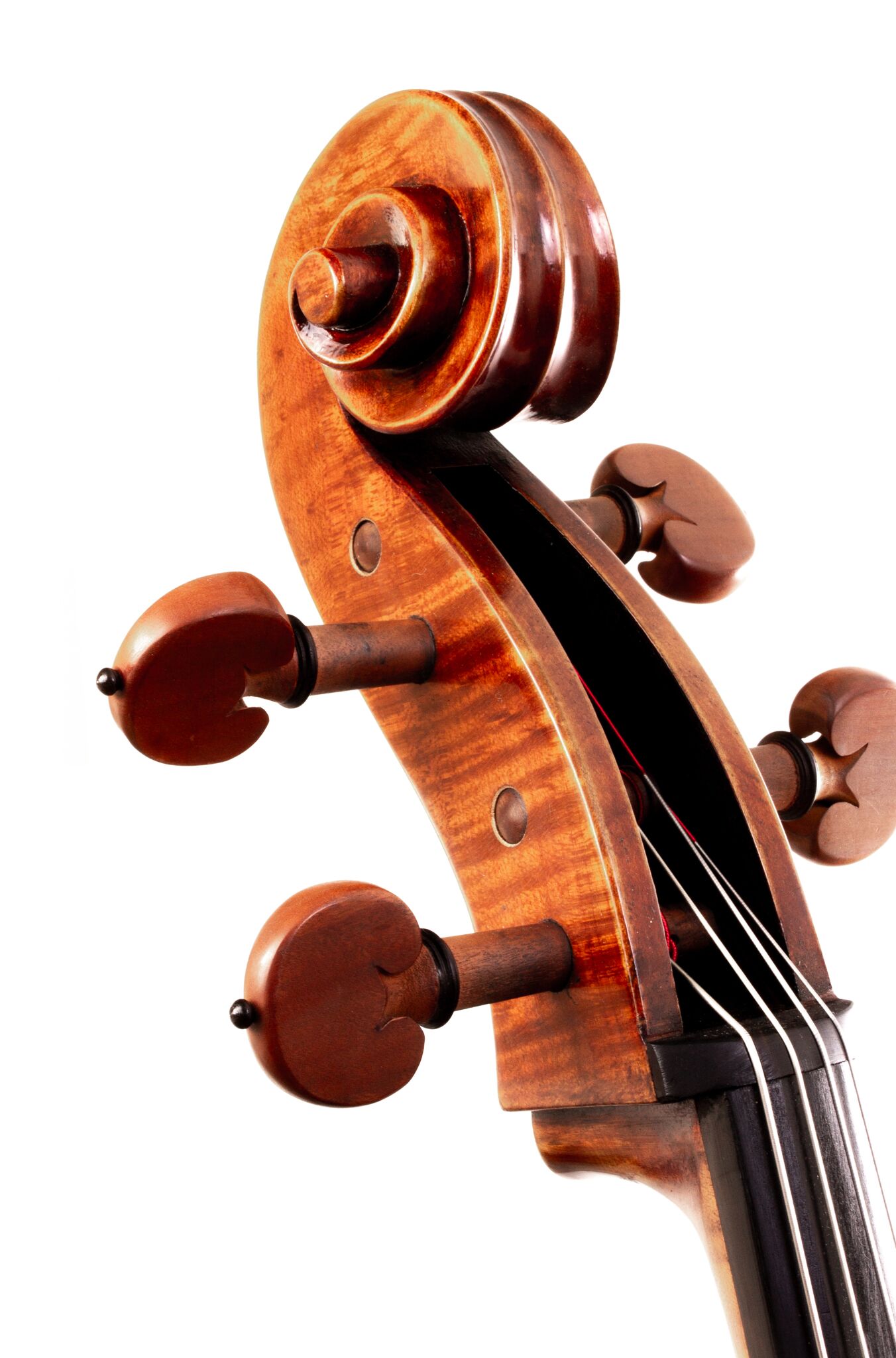 Eastman 502 Montagnana Cello - Beijing 2024-14