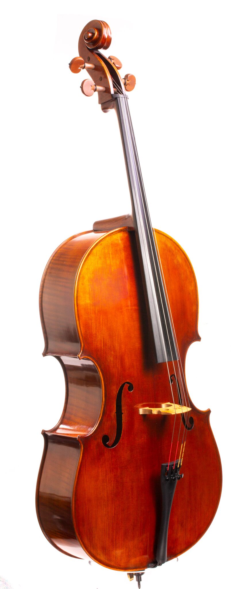 Eastman 502 Montagnana Cello - Beijing 2024-15