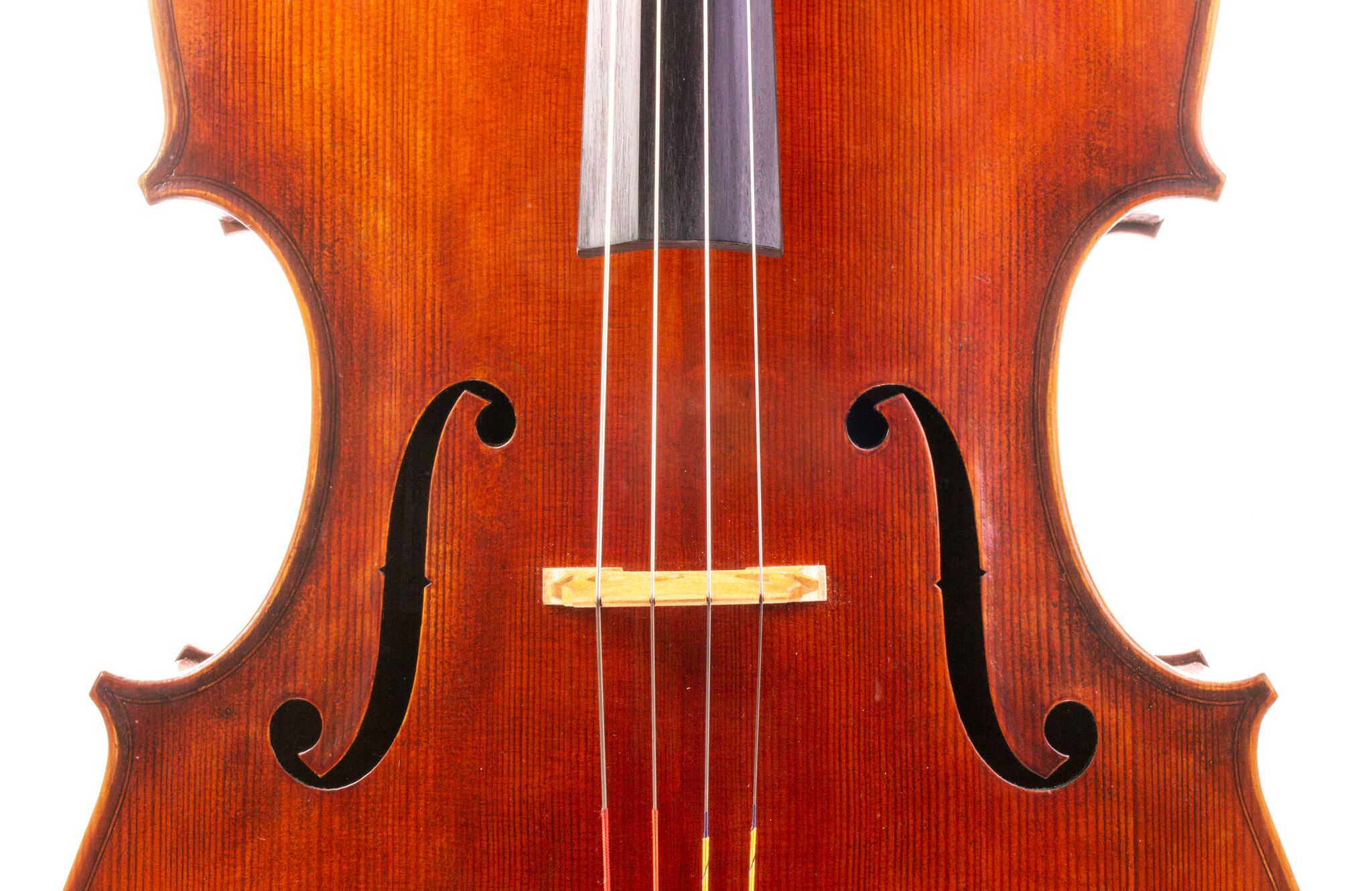 Eastman 502 Montagnana Cello - Beijing 2024-3