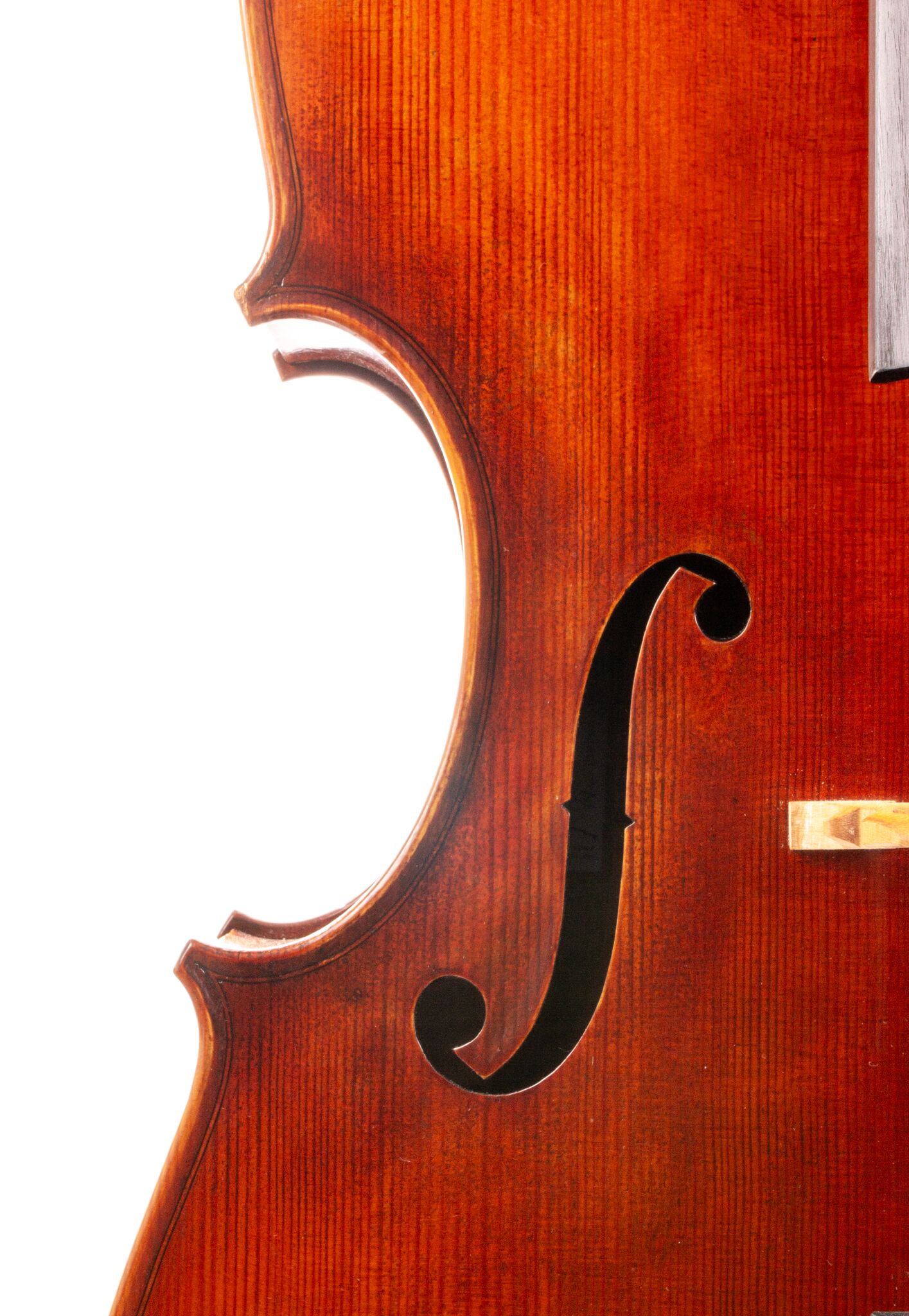 Eastman 502 Montagnana Cello - Beijing 2024-4