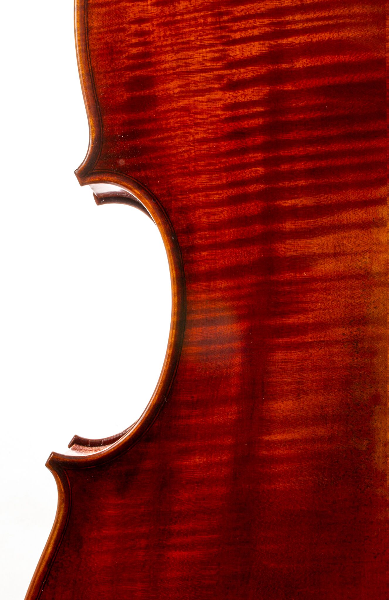 Eastman 502 Montagnana Cello - Beijing 2024-5