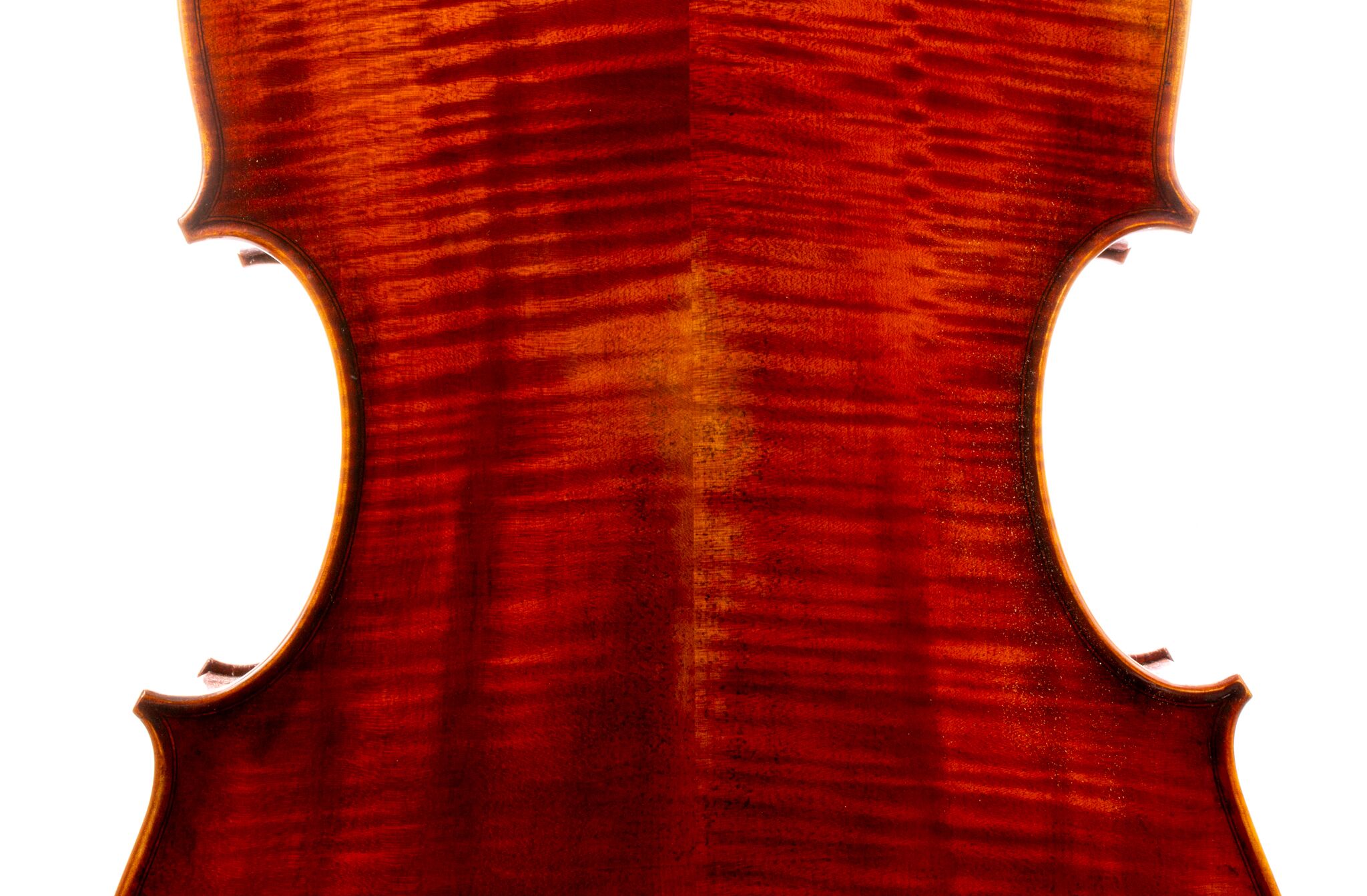 Eastman 502 Montagnana Cello - Beijing 2024-6