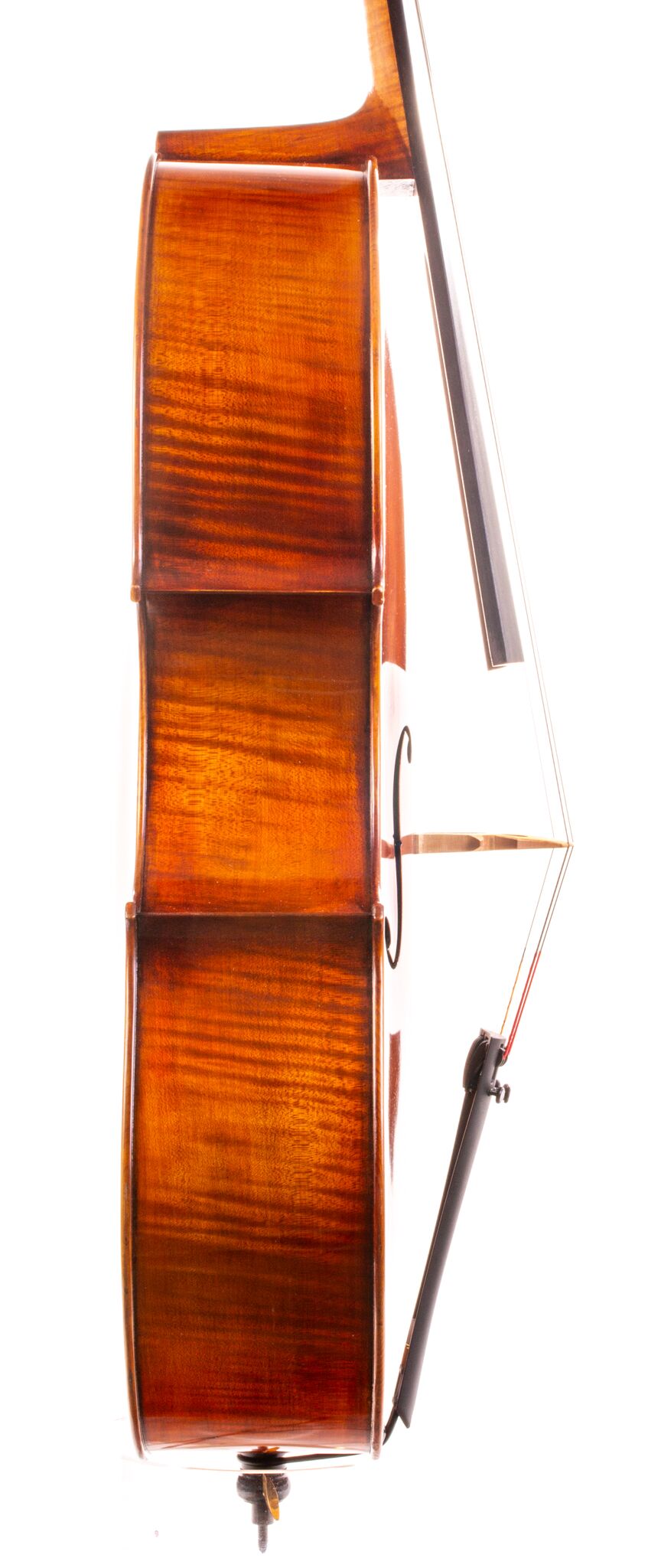 Eastman 502 Montagnana Cello - Beijing 2024-7