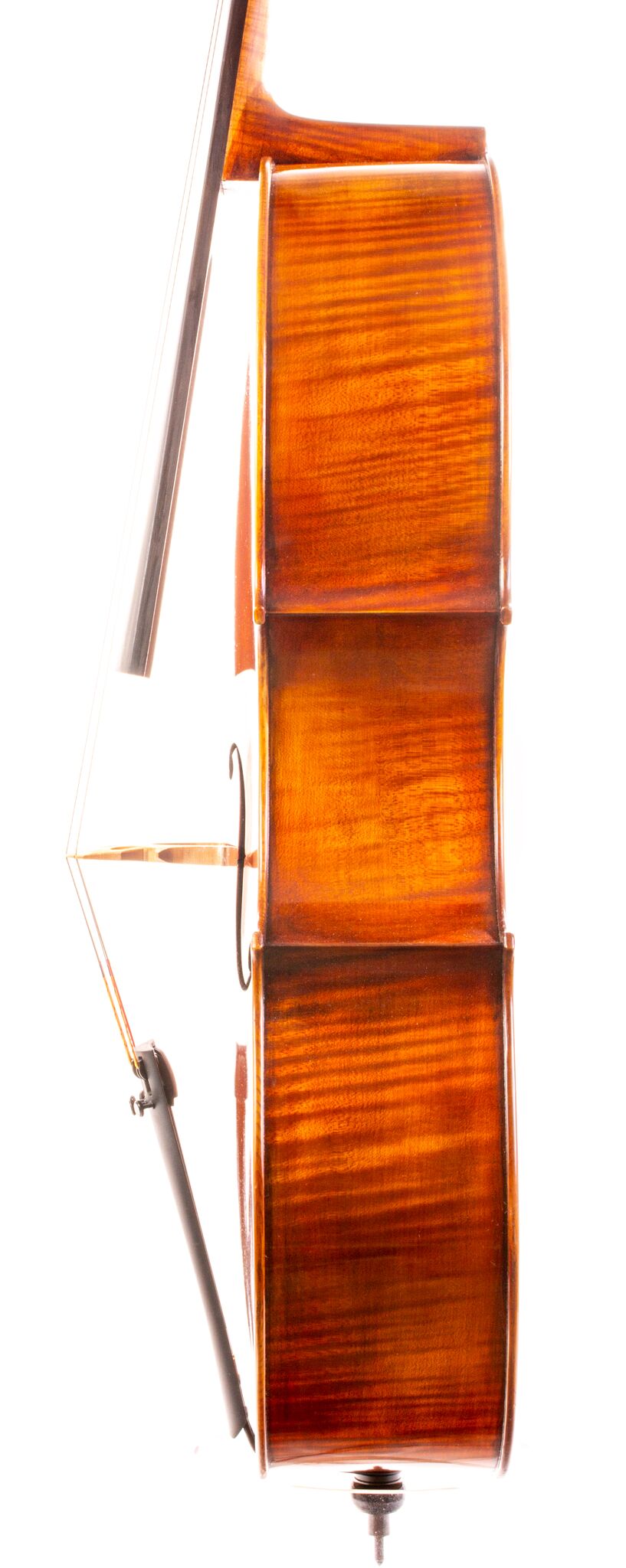 Eastman 502 Montagnana Cello - Beijing 2024-8