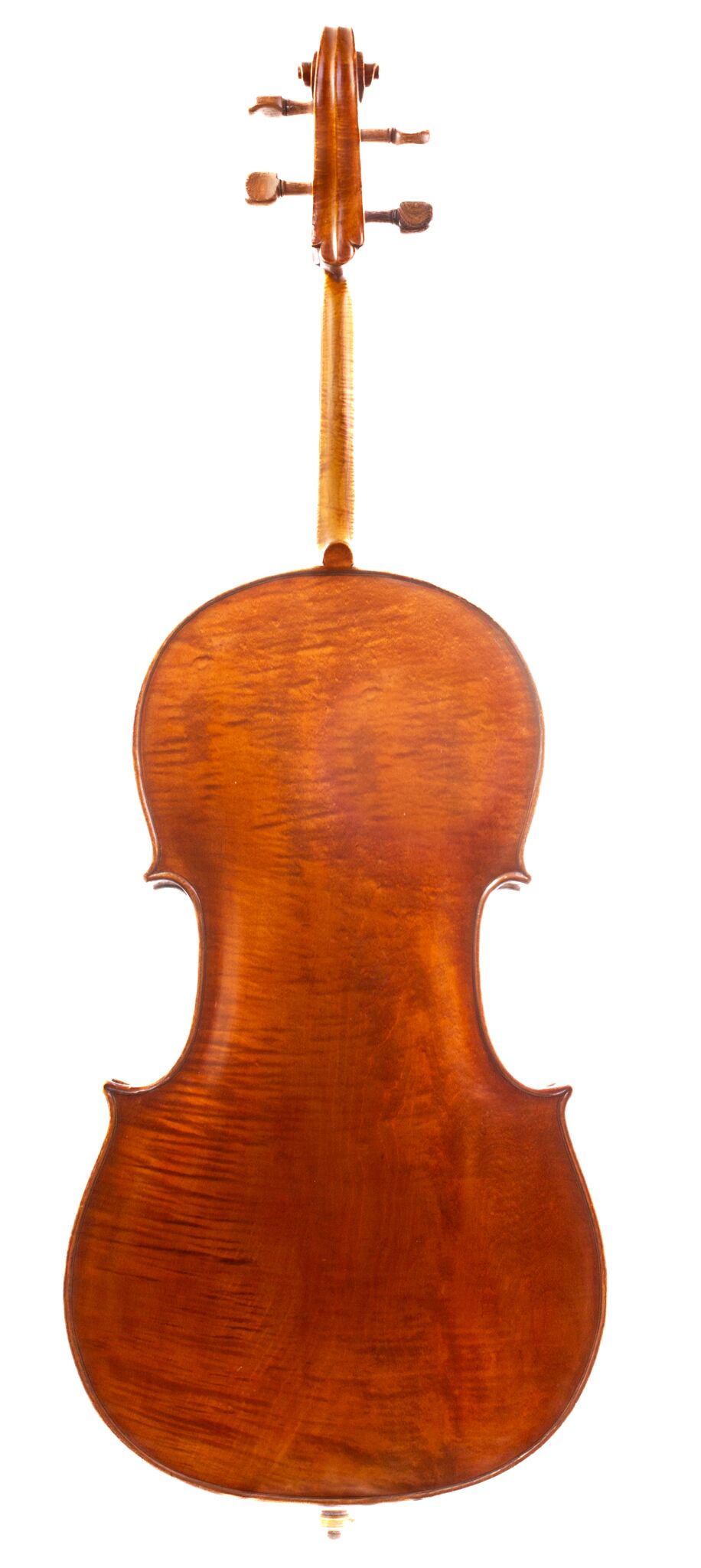 Tomassucci Cigno Cello - Arrone 1951-12-1-2-2