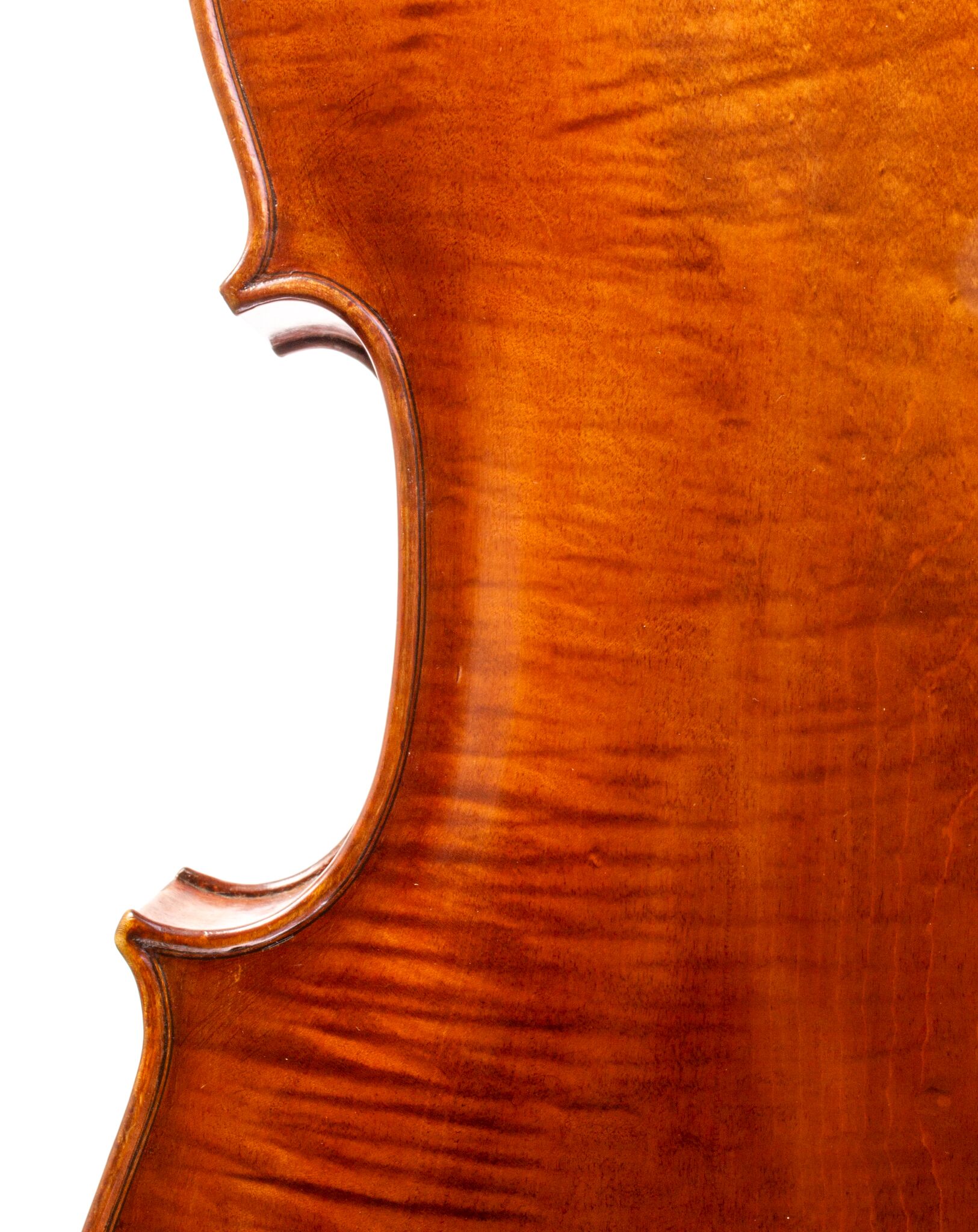 Tomassucci Cigno Cello - Arrone 1951-12-1-4