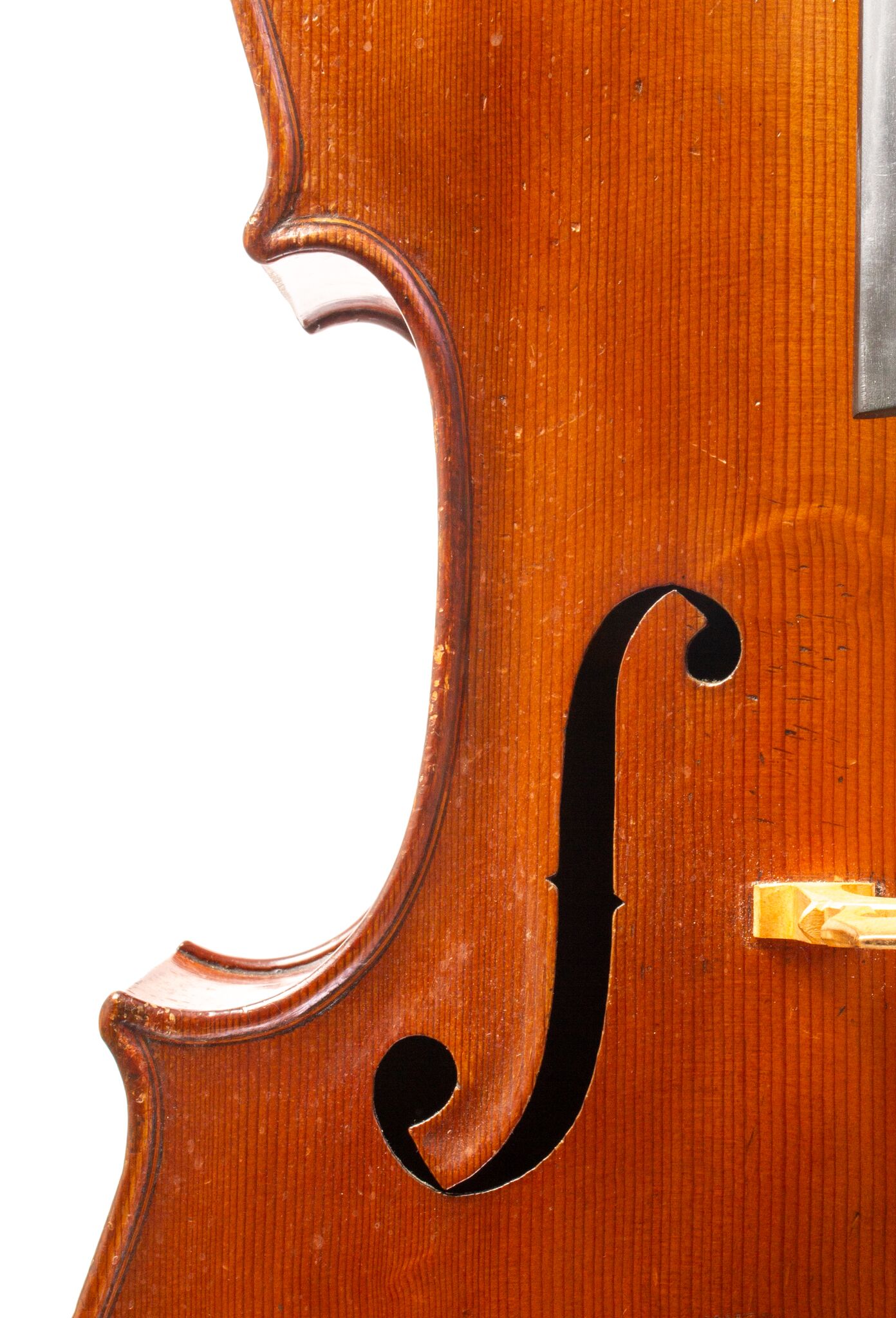 Tomassucci Cigno Cello - Arrone 1951-12-1-5