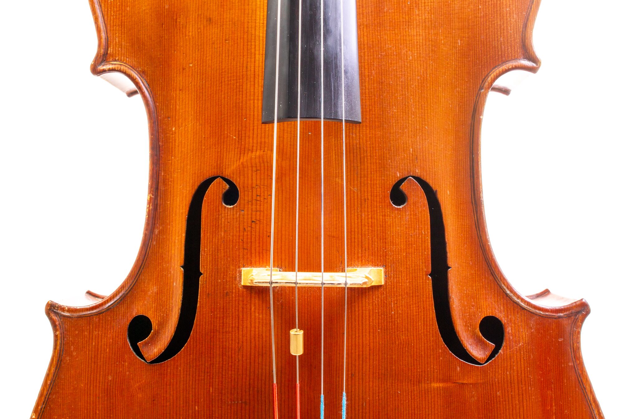 Tomassucci Cigno Cello - Arrone 1951-12-1-6