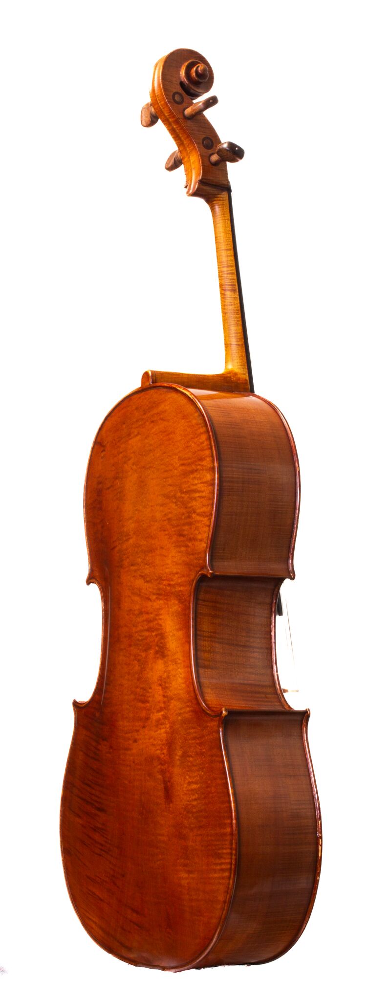 Tomassucci Cigno Cello - Arrone 1951-12-1