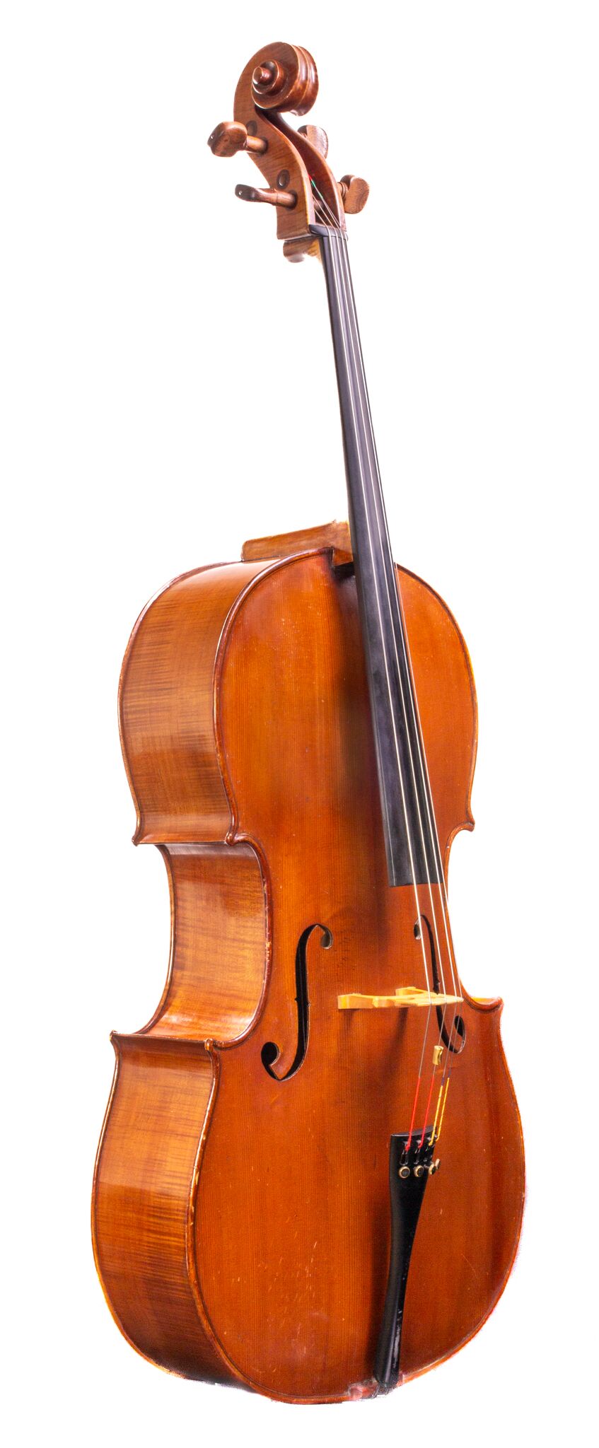 Tomassucci Cigno Cello - Arrone 1951-3