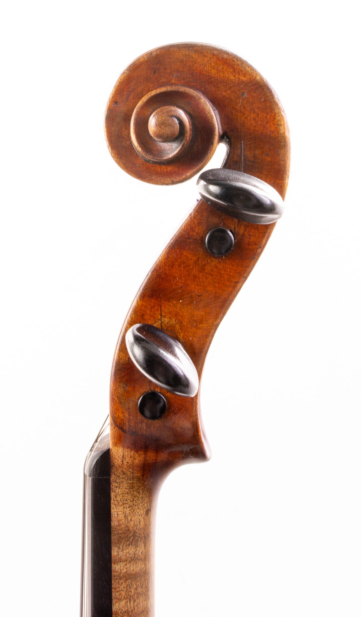 Vincentius Postiglione Violin - Naples 1899-07