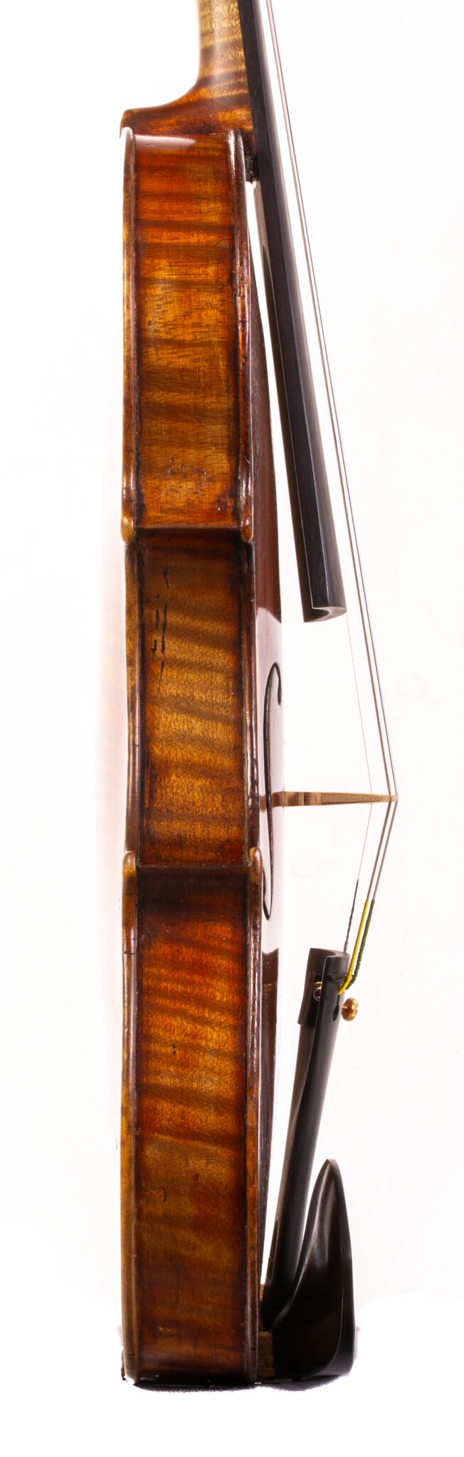 Vincentius Postiglione Violin - Naples 1899-3