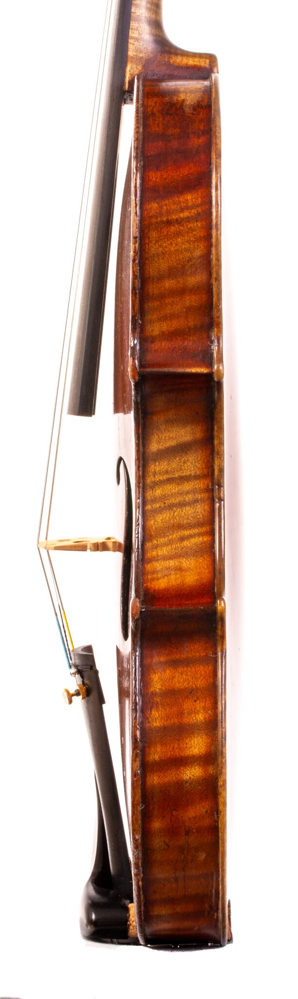 Vincentius Postiglione Violin - Naples 1899-4