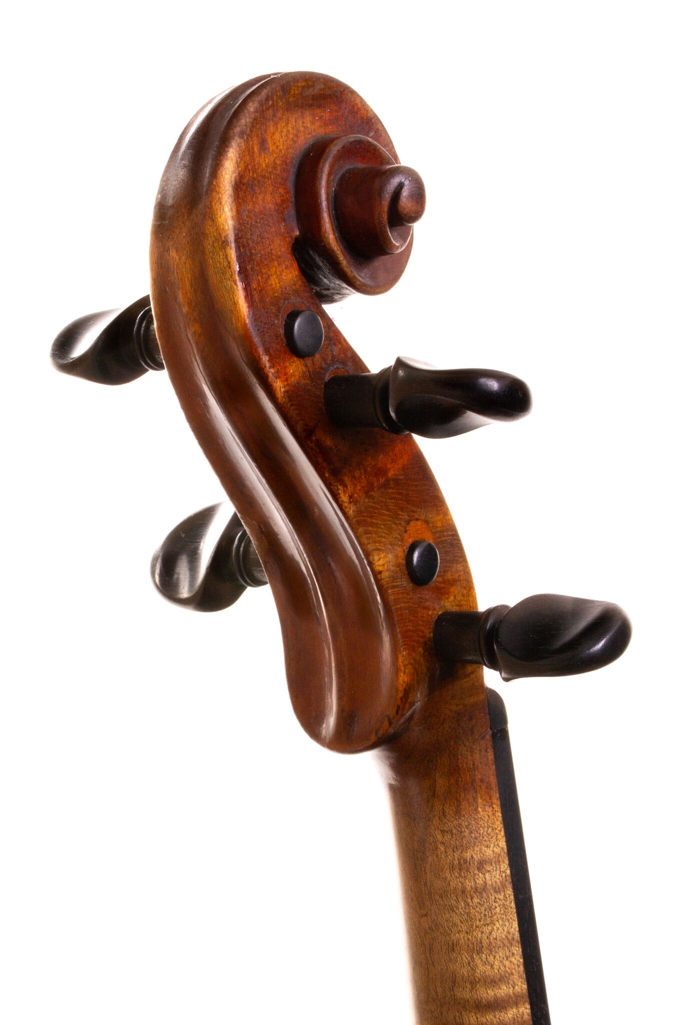 Vincentius Postiglione Violin - Naples 1899-5