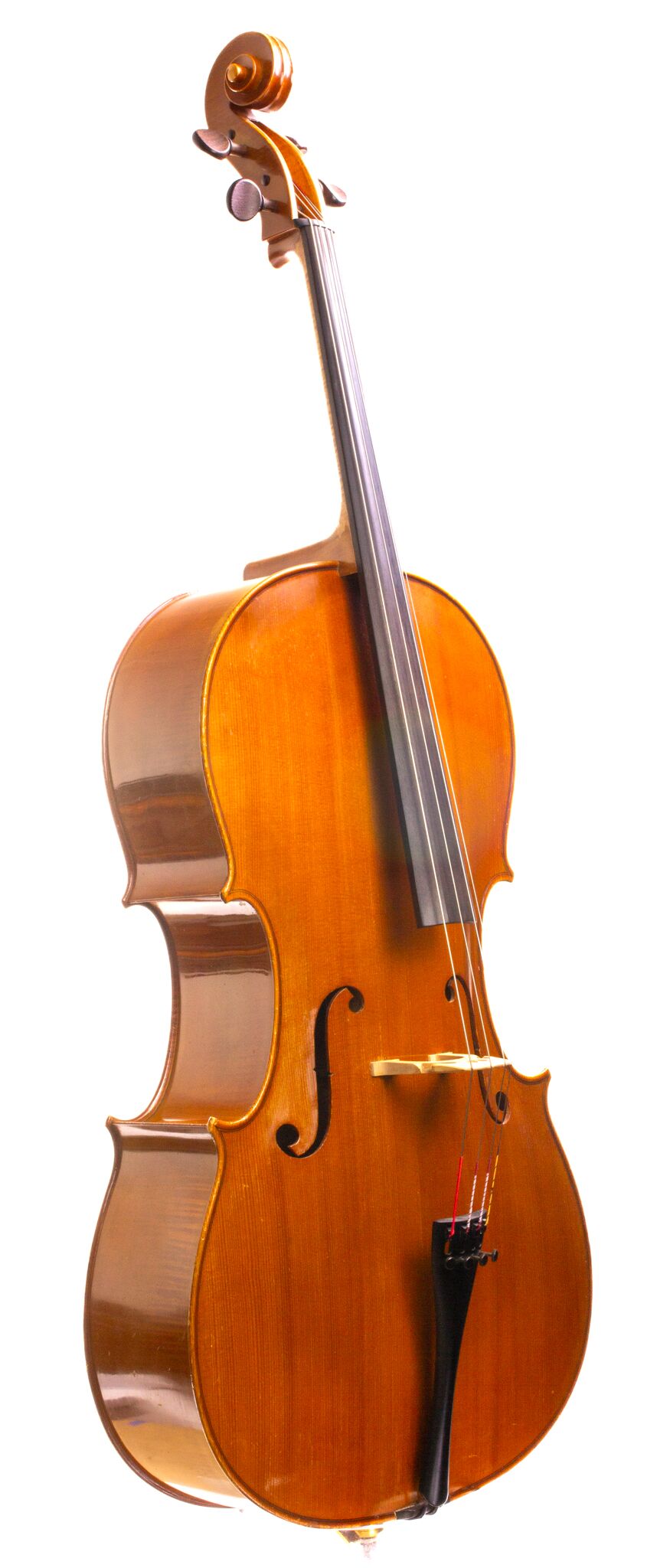 Alain Moinier Cello - Mirecourt circa 1995-1-2