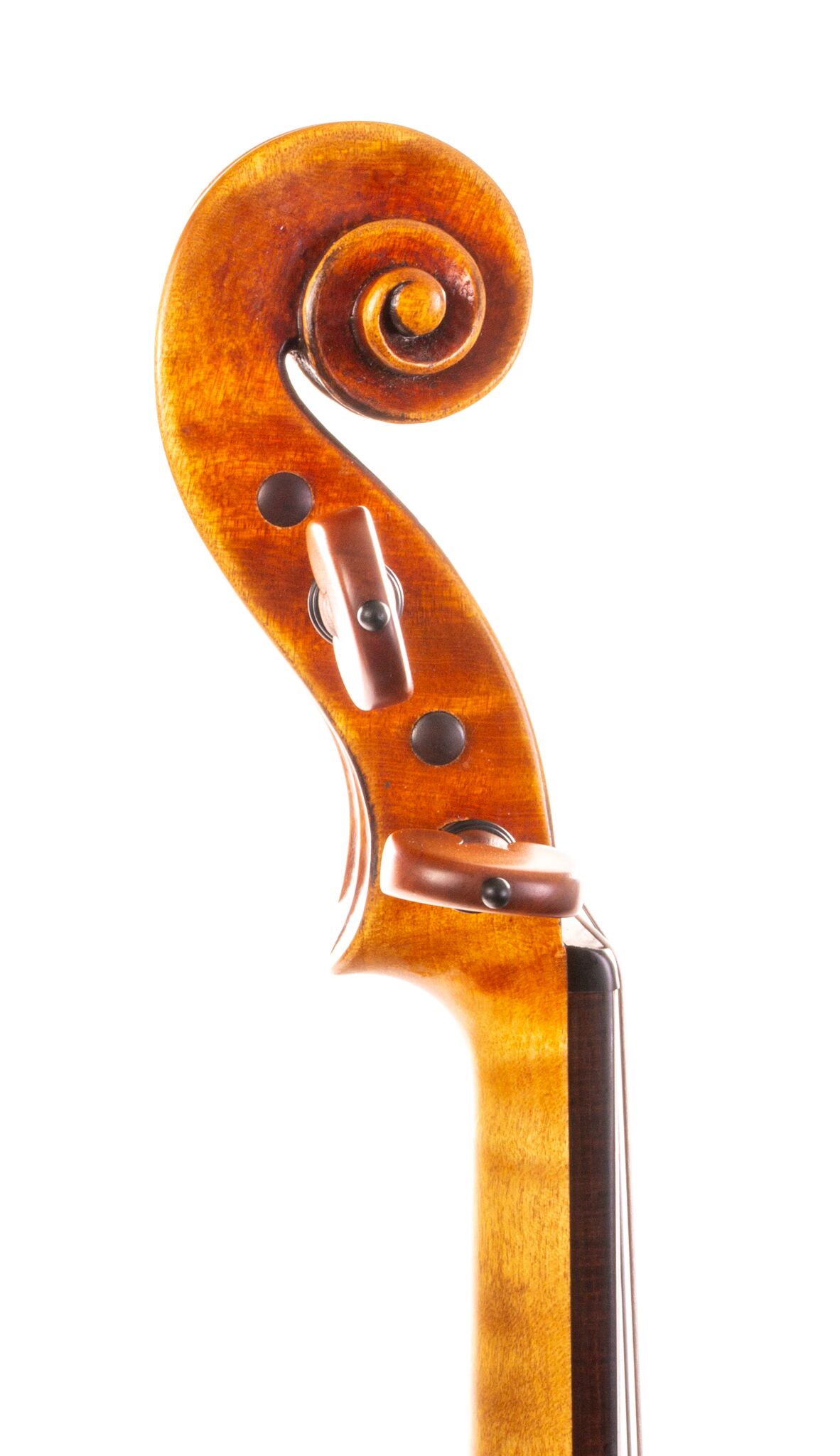 Artur Friedhoff Violin - Oakland 2024-2-4