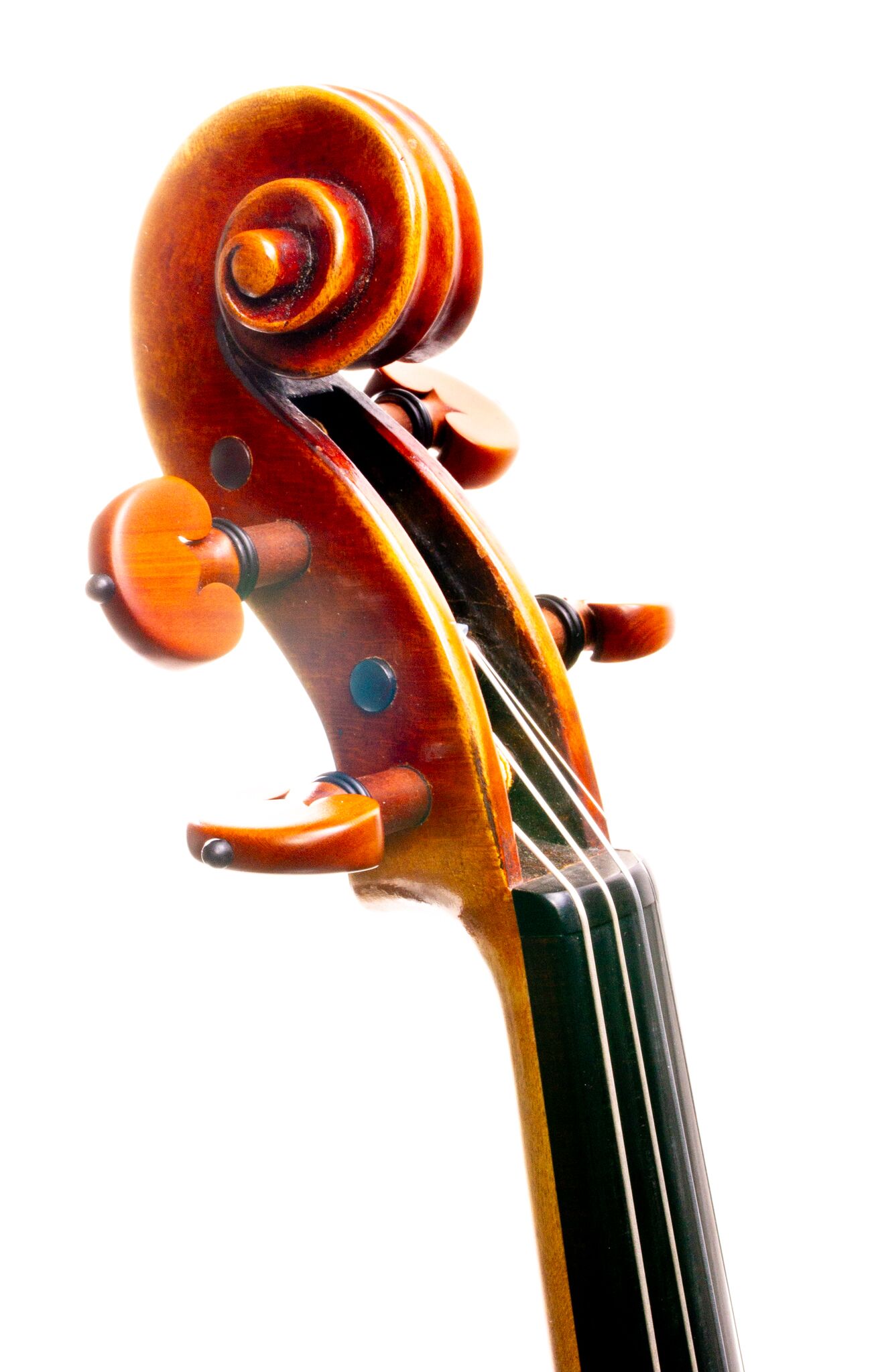 Artur Friedhoff Violin - Oakland 2024 7