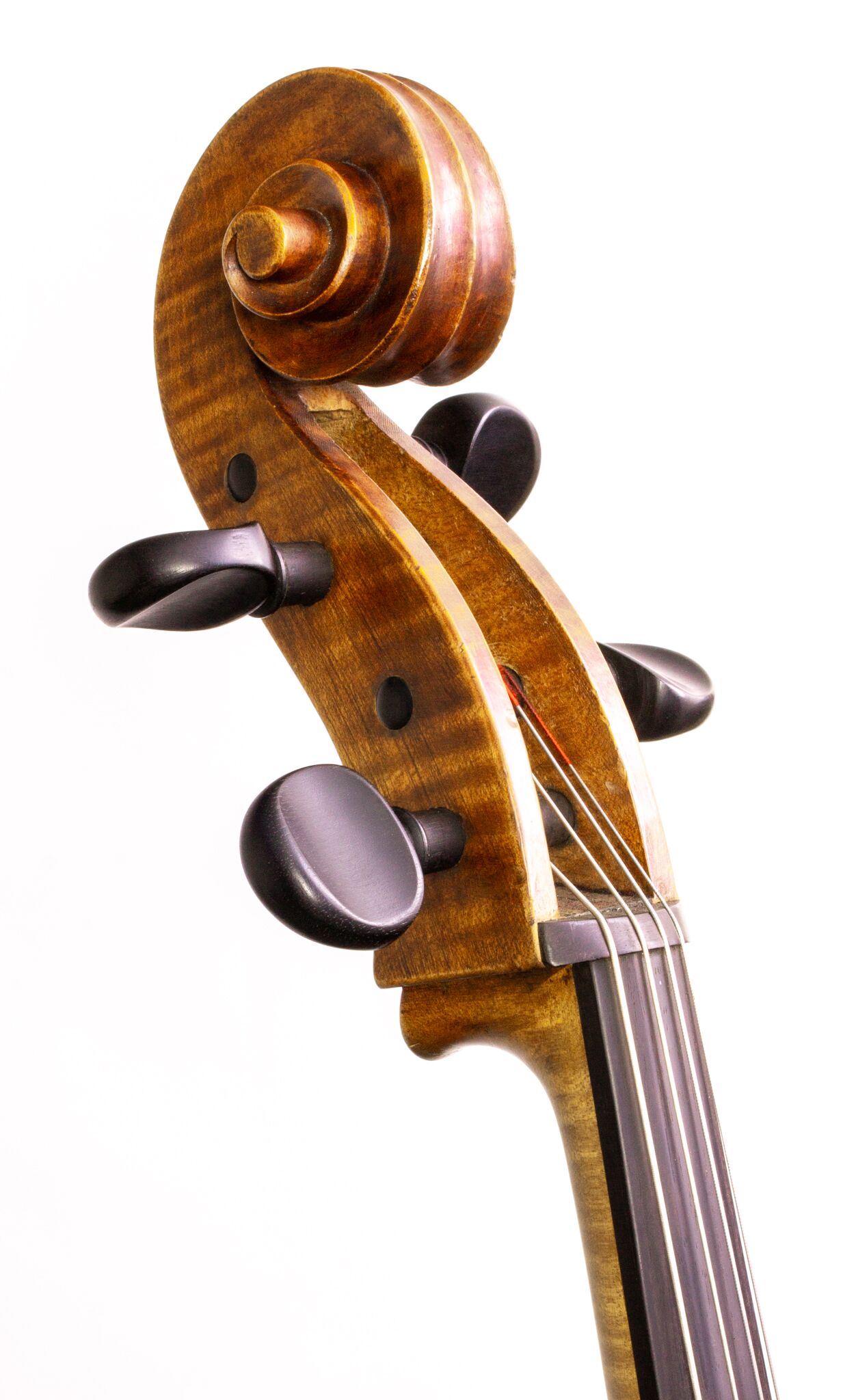 German Cello - 1917-11