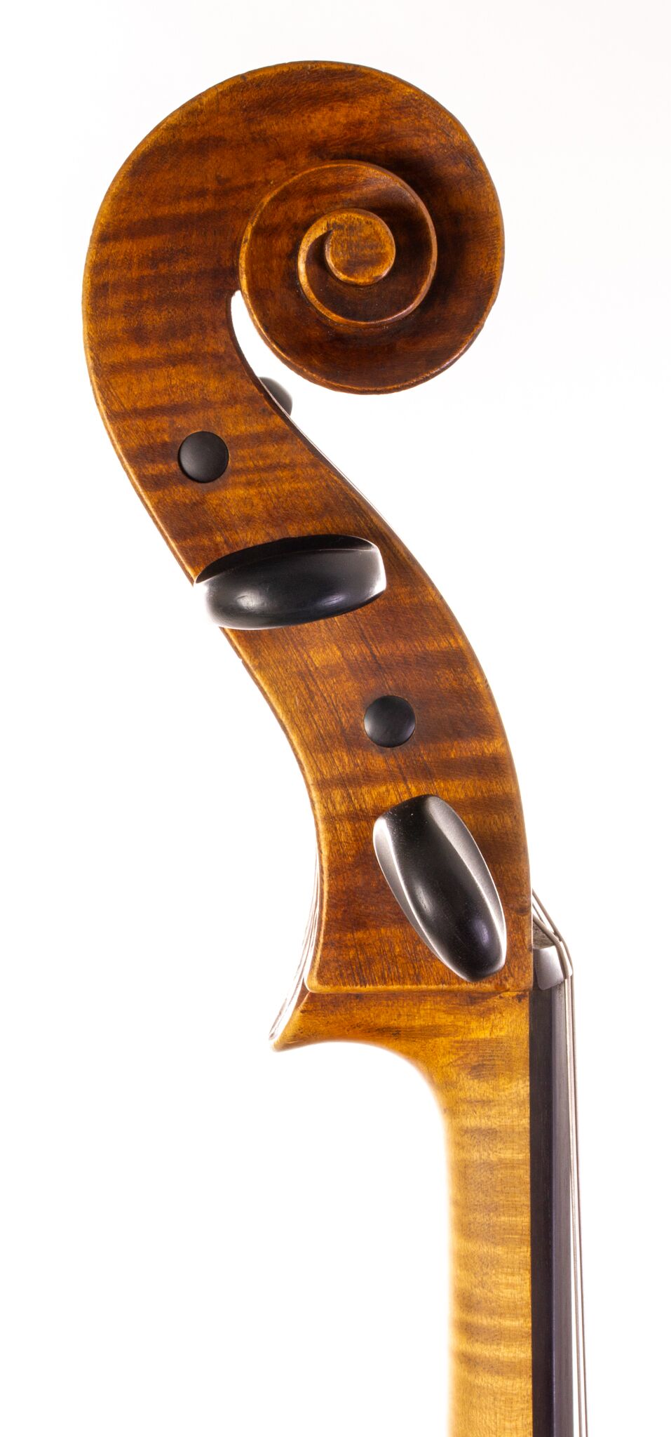 German Cello - 1917-16